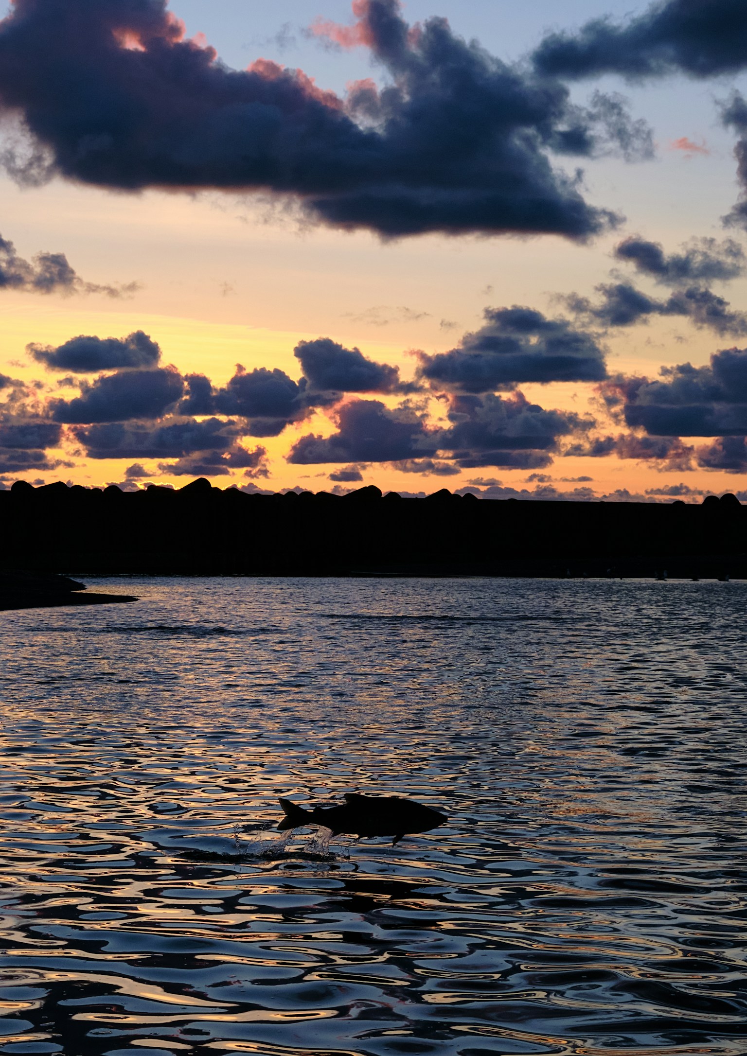 photo-YXkXbXaH8CJK4VxyS064-image