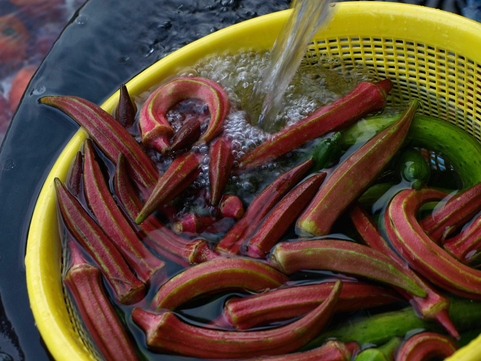 Frische Okra wird in einem gelben Korb gewaschen