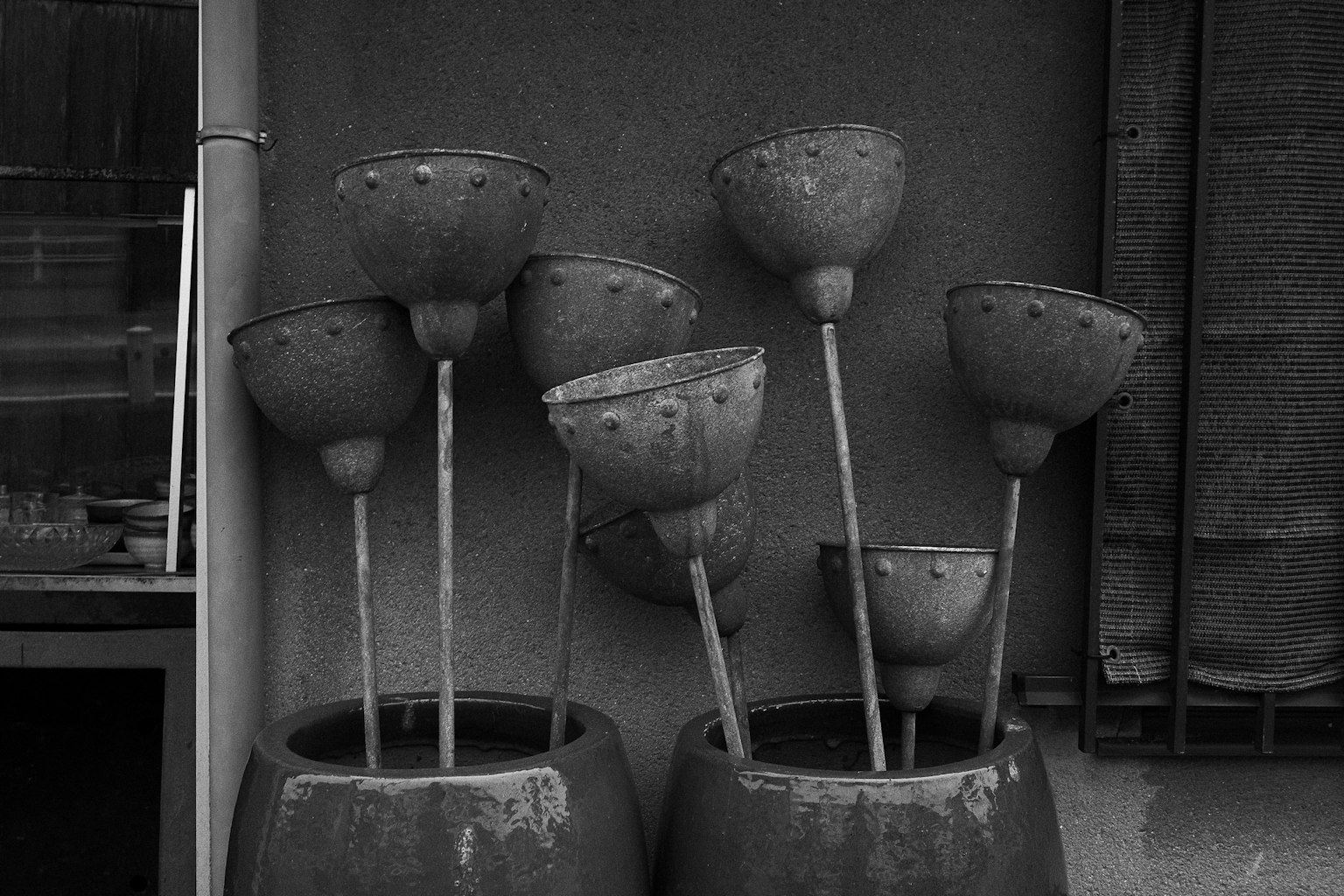 Pots en céramique avec des plantes disposées sur un fond monochrome