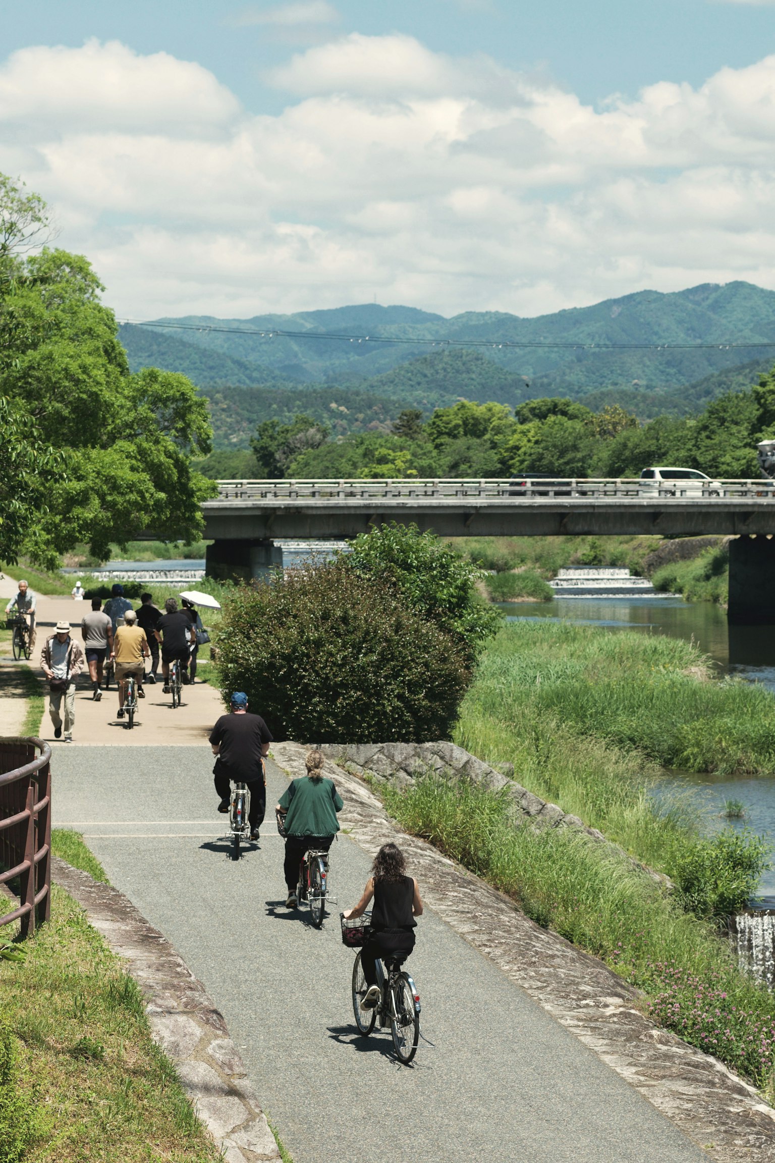 Ciclisti che pedalano lungo un sentiero panoramico fiancheggiato da vegetazione lussureggiante