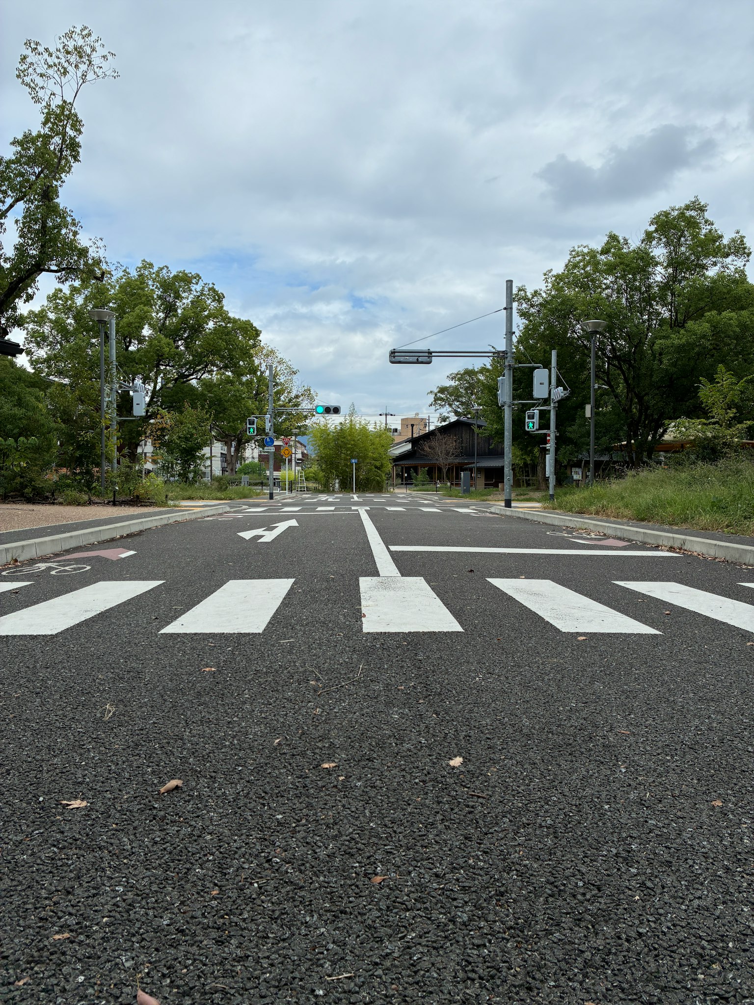 道路の横断歩道と信号機が見える風景