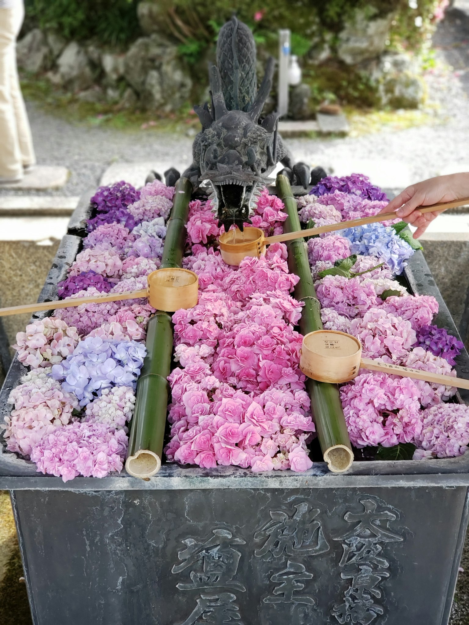 Fleurs colorées disposées dans un bassin en pierre avec des cuillères en bambou