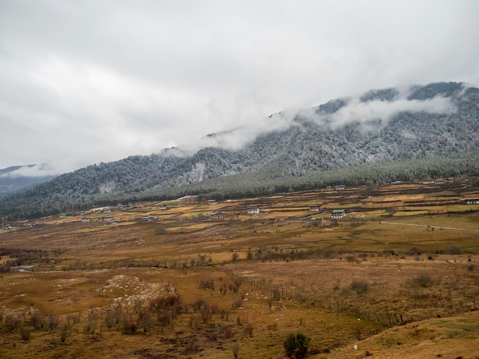 被雲霧籠罩的雪山