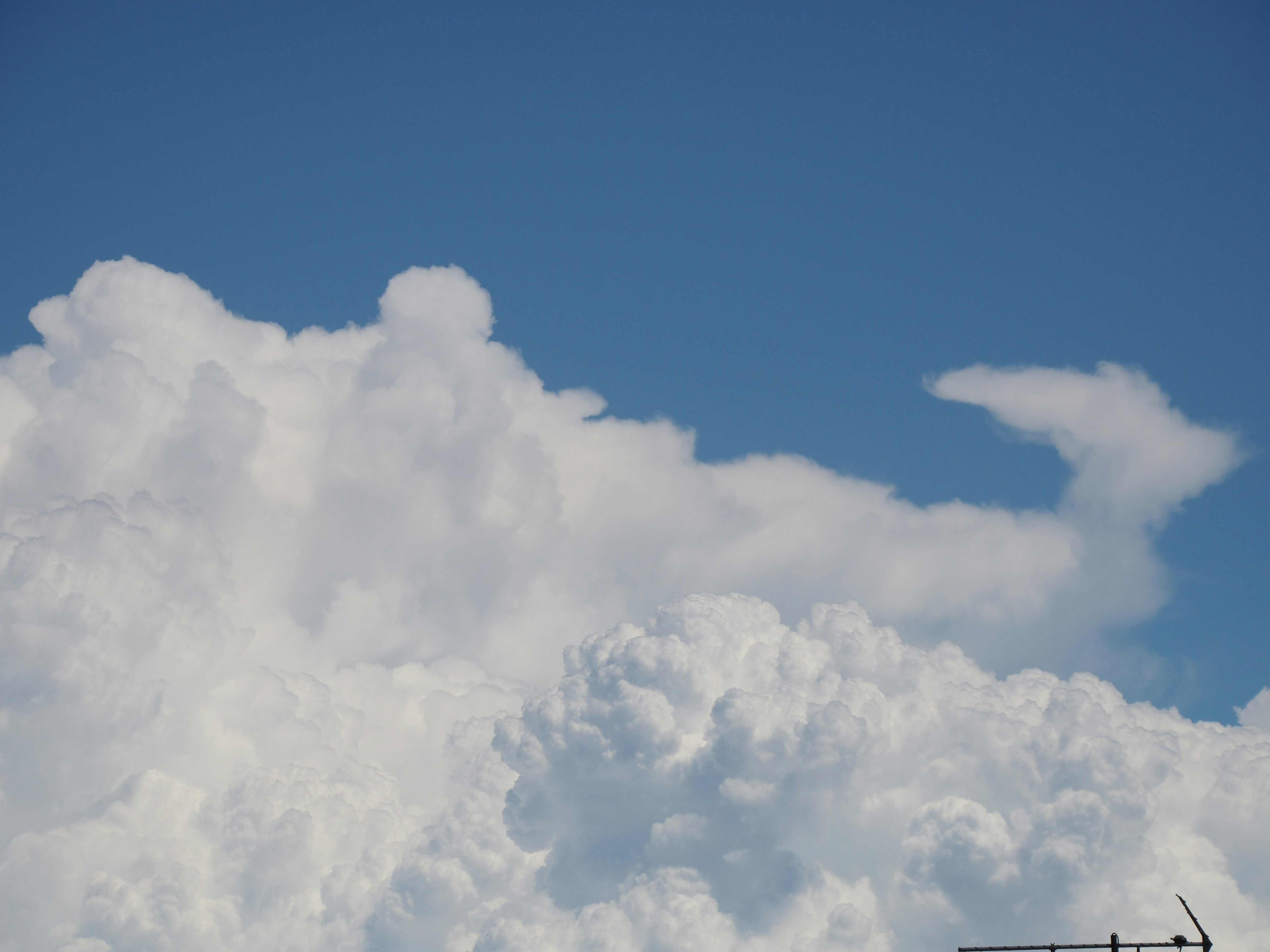 大きな積雲が広がる青空