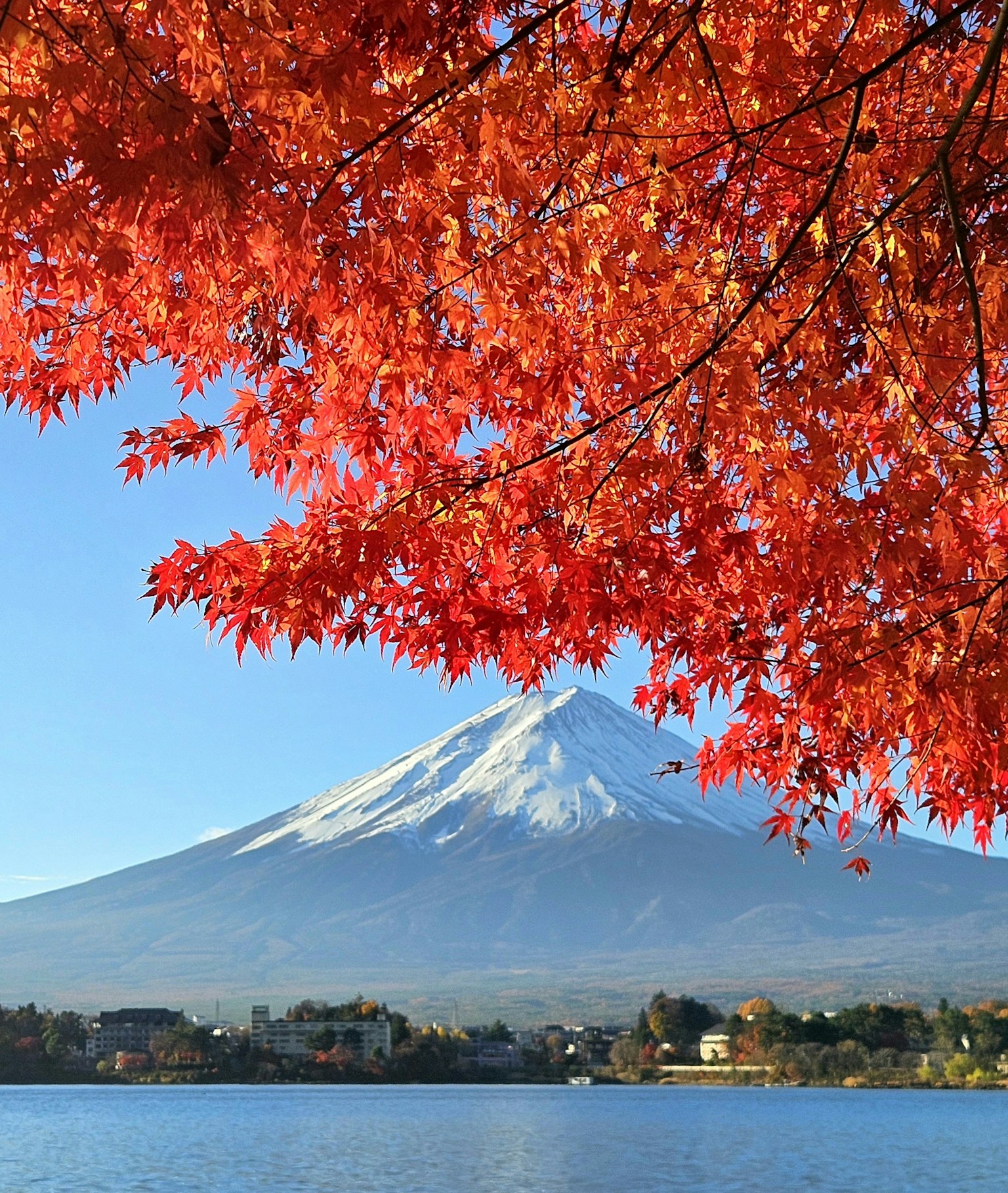ทิวทัศน์ที่สวยงามของภูเขาฟูจิพร้อมใบไม้ฤดูใบไม้ร่วงสดใส