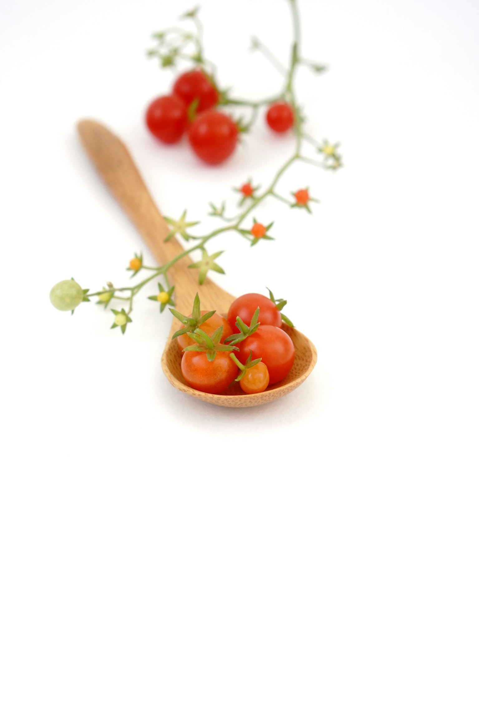 작은 나무 숟가락에 담긴 빨간 체리 토마토와 녹색 가지