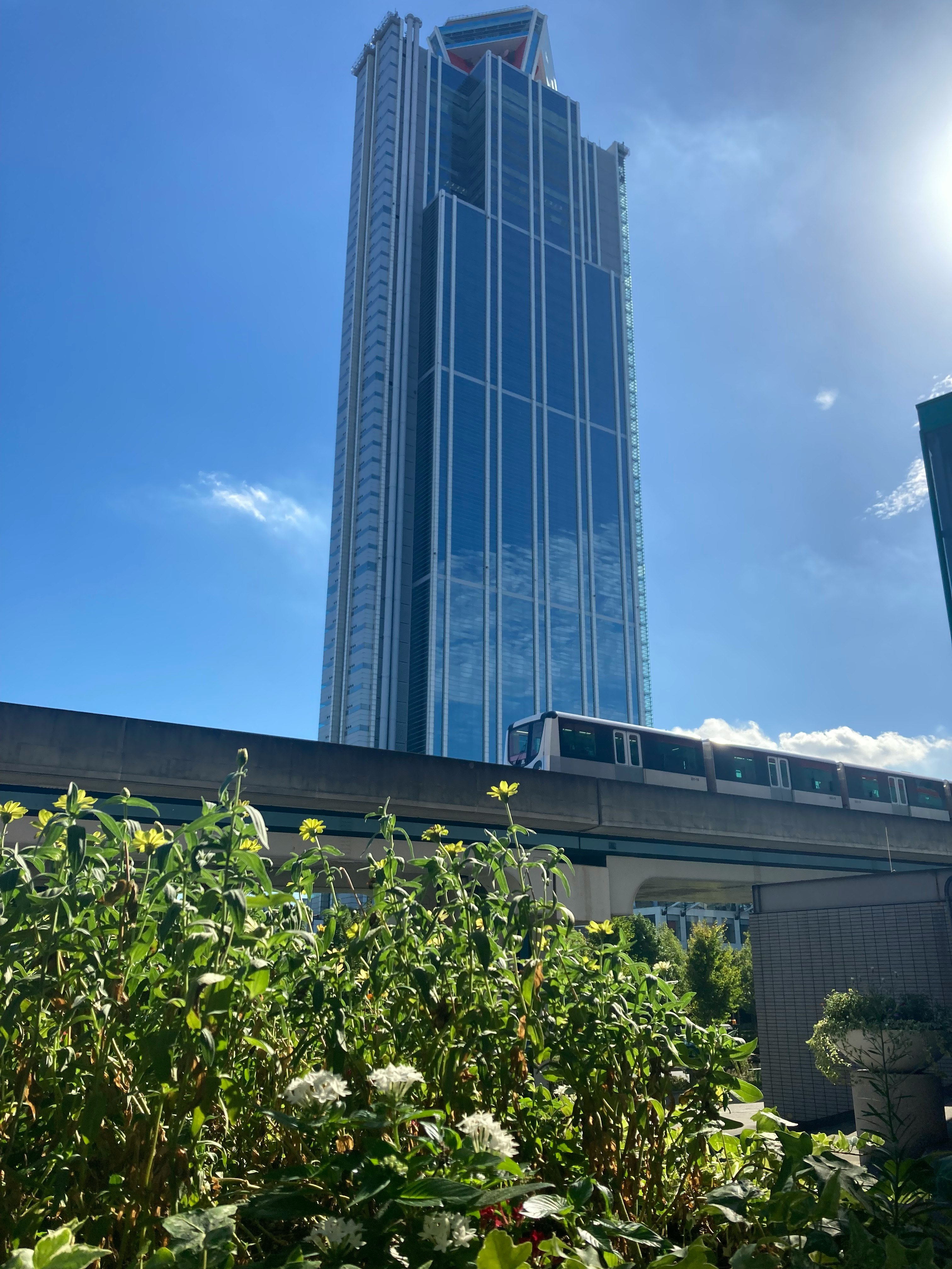 skyline urbano con un grattacielo e vegetazione rigogliosa sotto un cielo azzurro