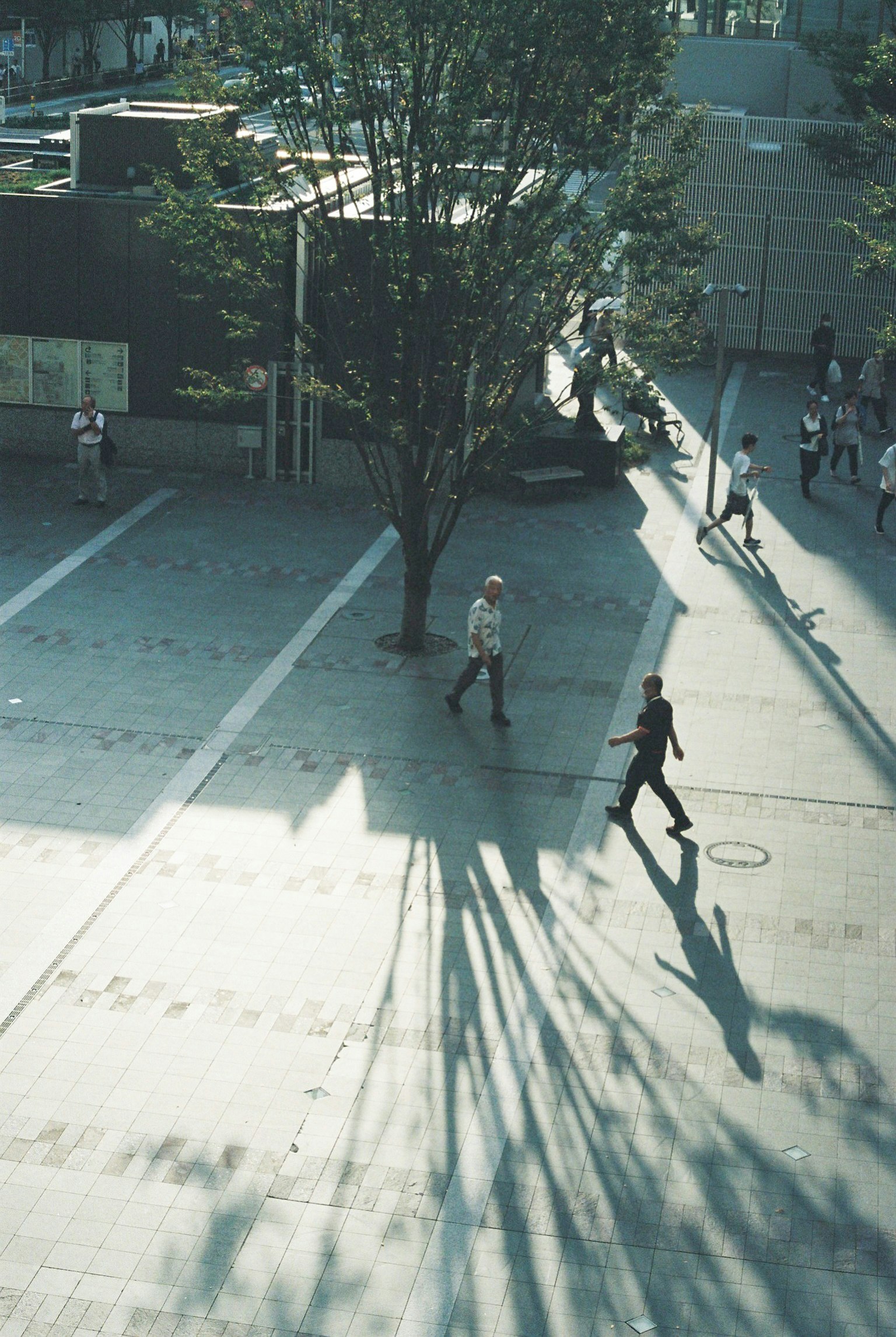 Stadtplatzszene mit Menschen, die gehen lange Schatten, die von Bäumen geworfen werden