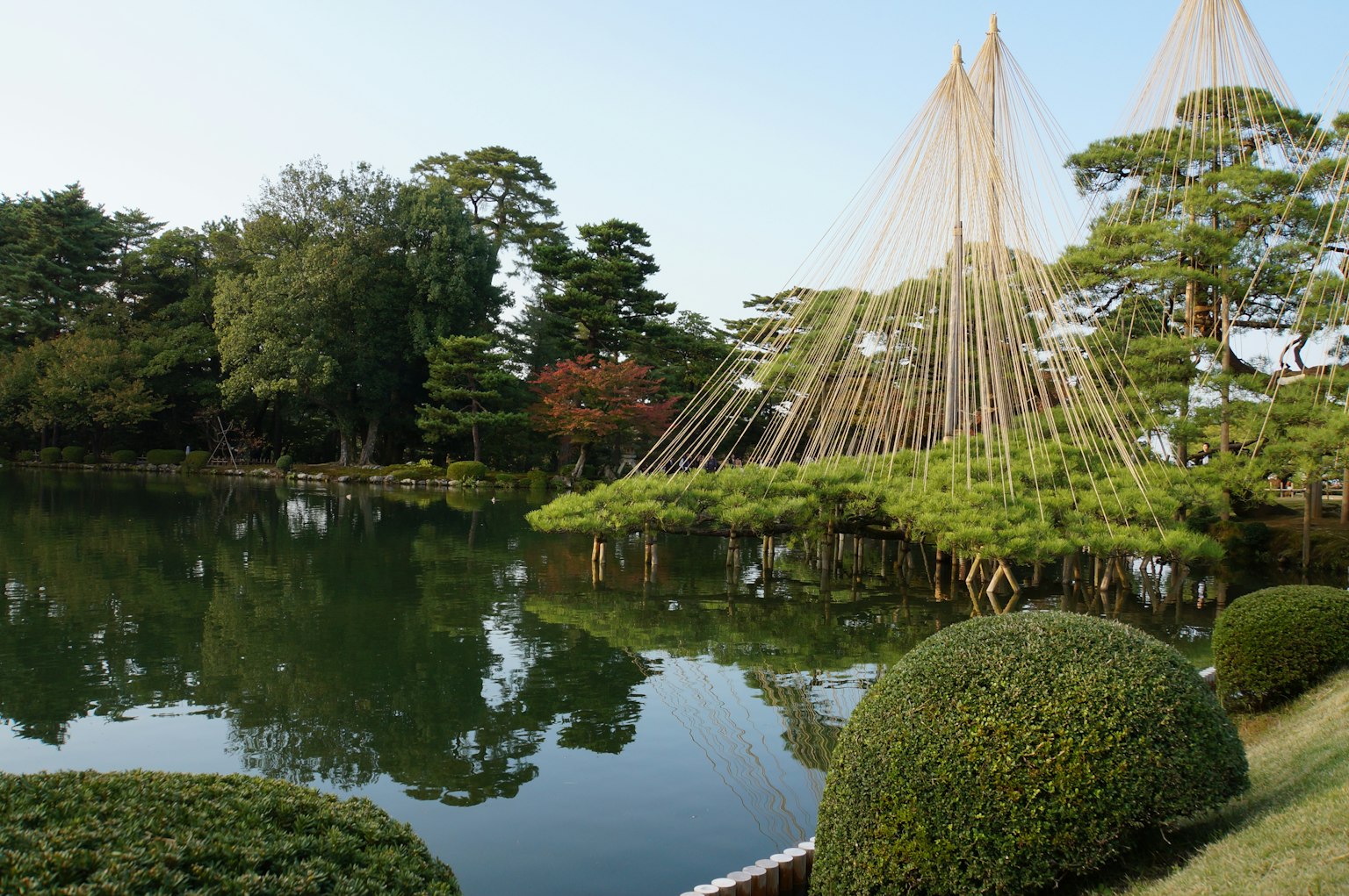สวนญี่ปุ่นที่สวยงามมีบ่อน้ำและต้นสนที่ถูกยึดด้วยเสาปาล์ม