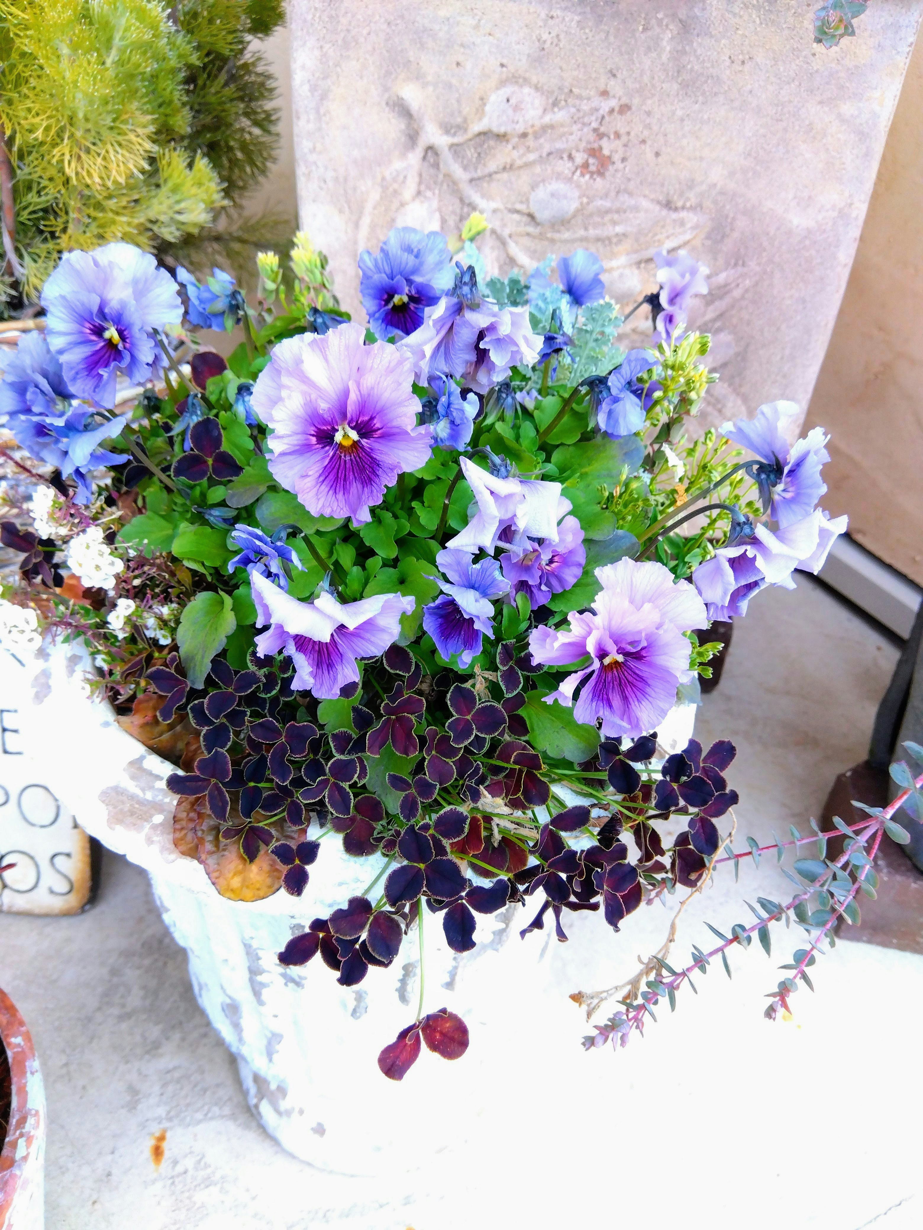青い花の寄せ植えが飾られた鉢と花束のようなアレンジ