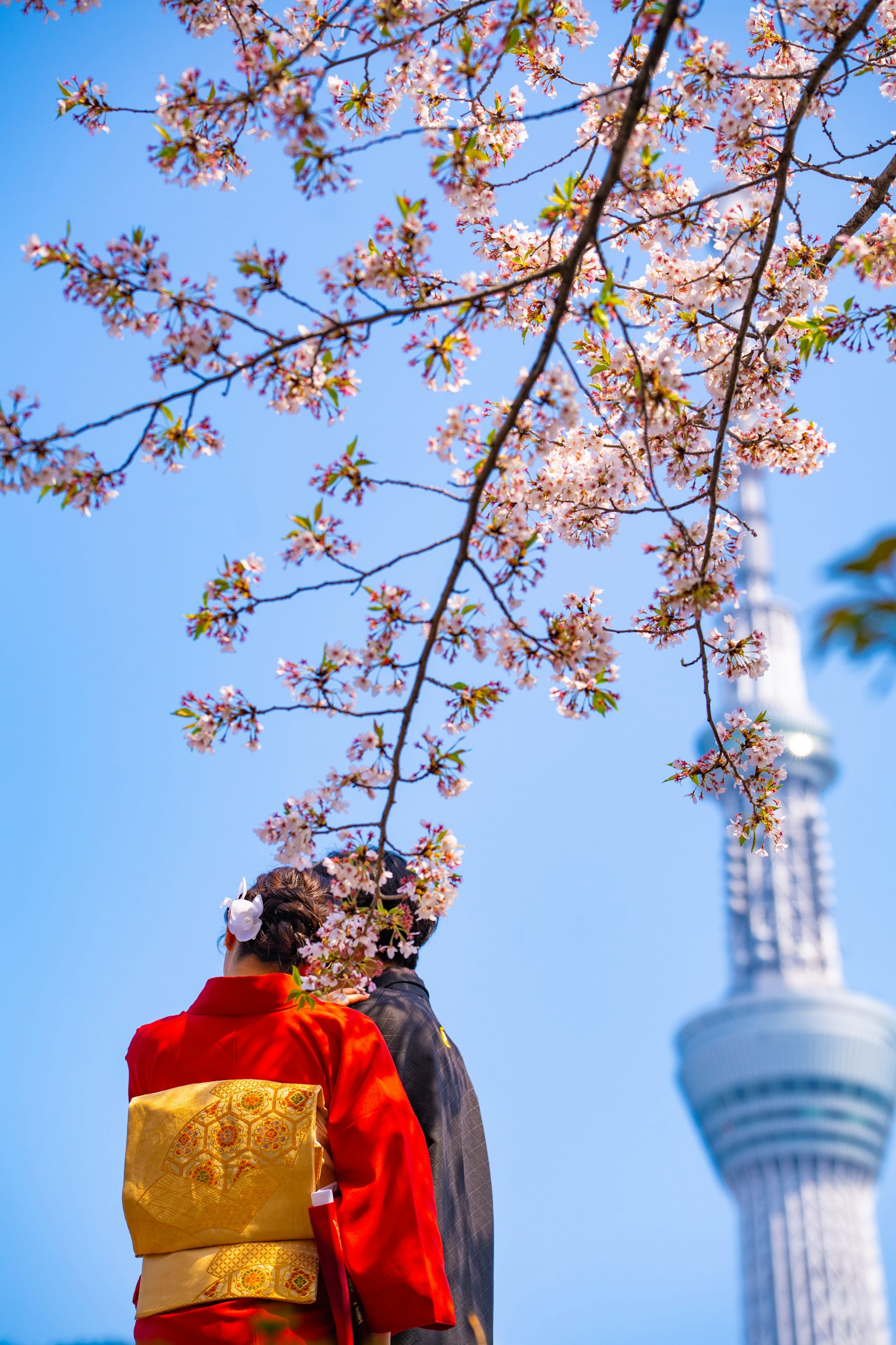 Sepasang kekasih berpakaian kimono berdiri di bawah pohon sakura dengan Tokyo Skytree di latar belakang