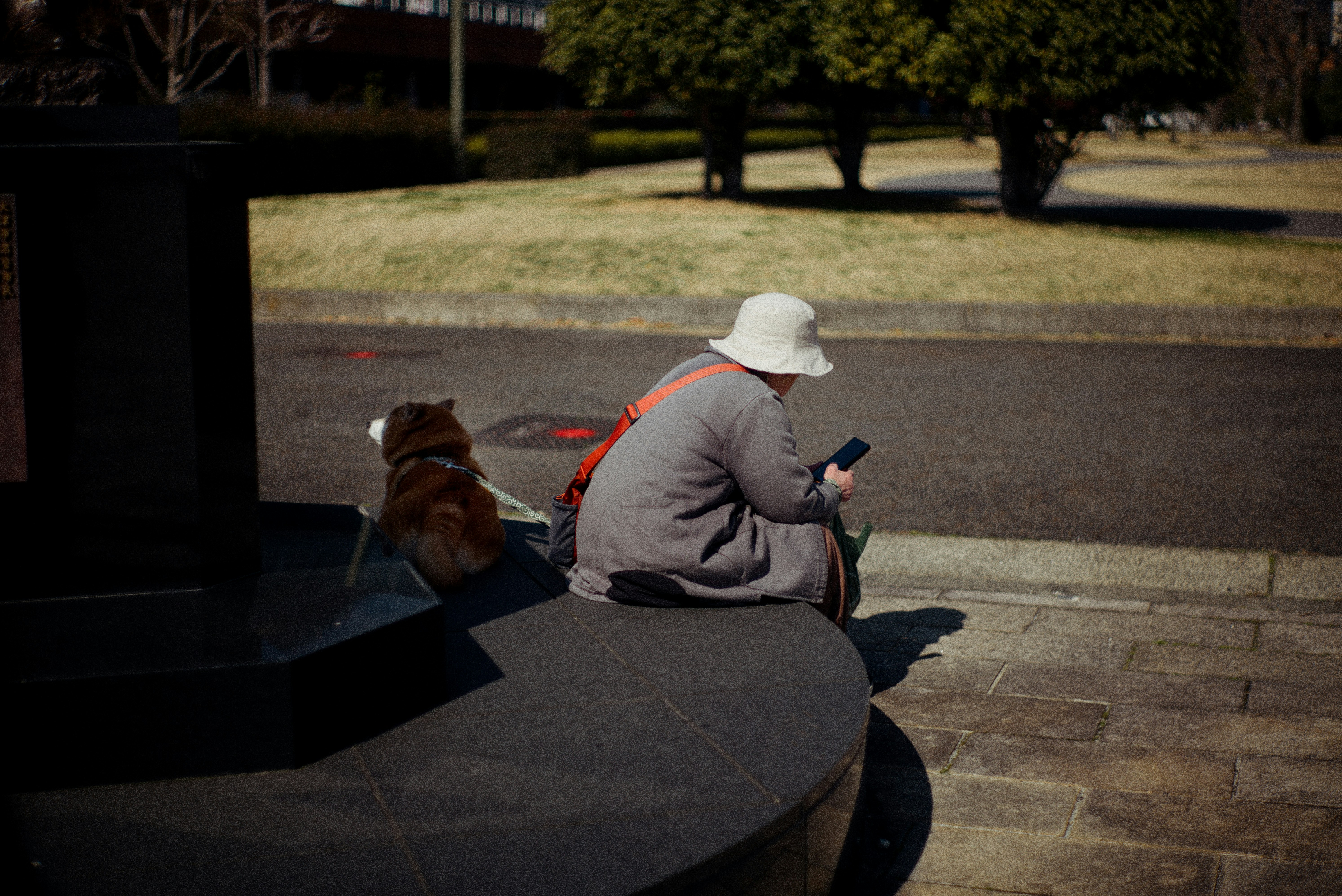 朝の散歩でベンチに座る柴犬と人