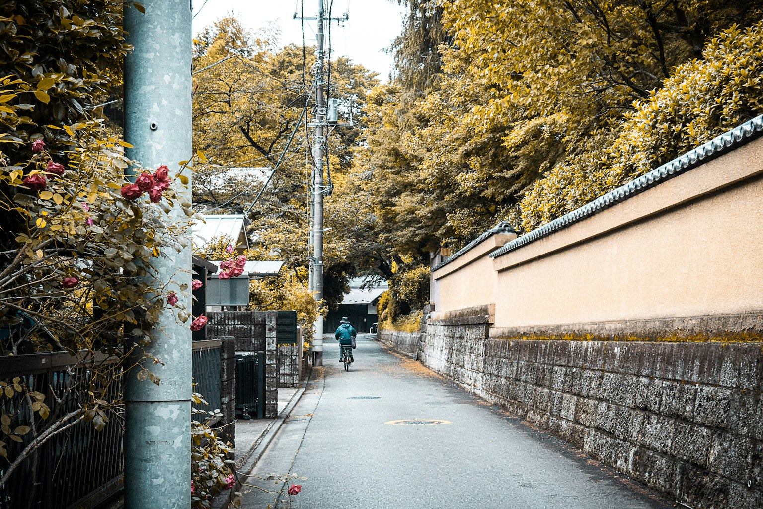 寧靜的小路，兩旁是樹木和牆壁