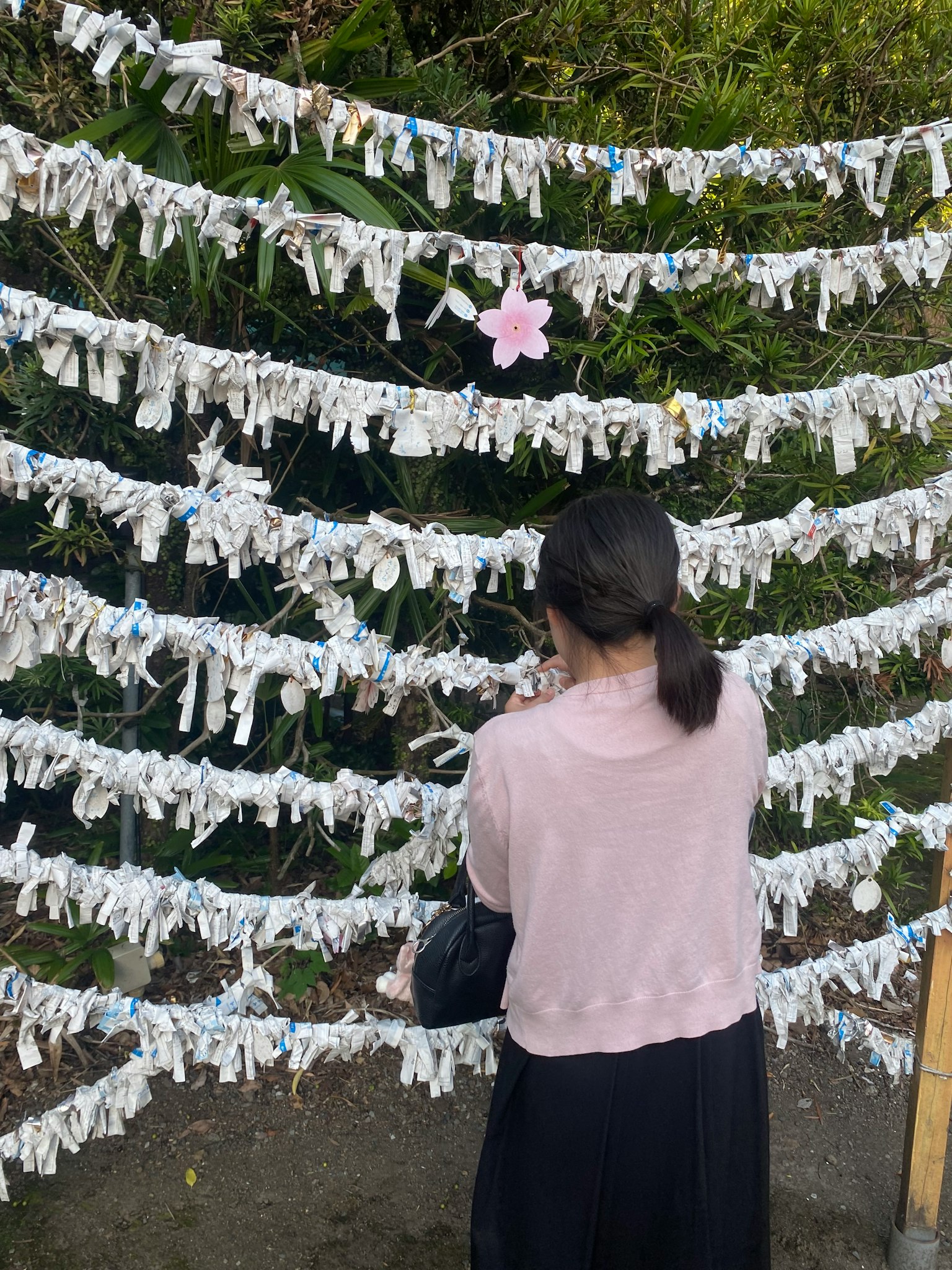 Seorang wanita yang menatap pita omikuji putih dengan bunga sakura yang mencolok