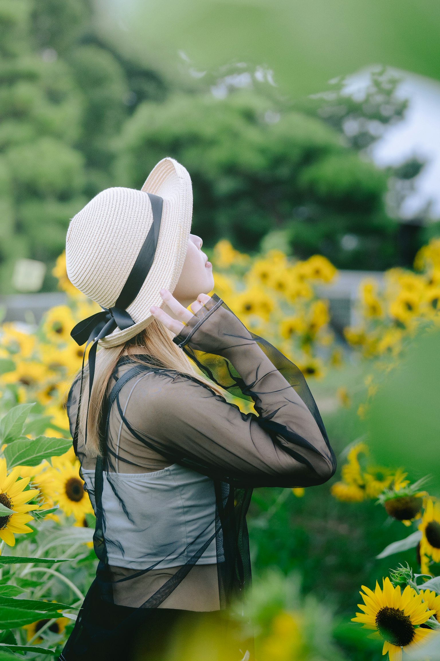 Seitenansicht einer Frau in einem Sonnenblumenfeld mit einem Strohhut und grünen Bäumen im Hintergrund