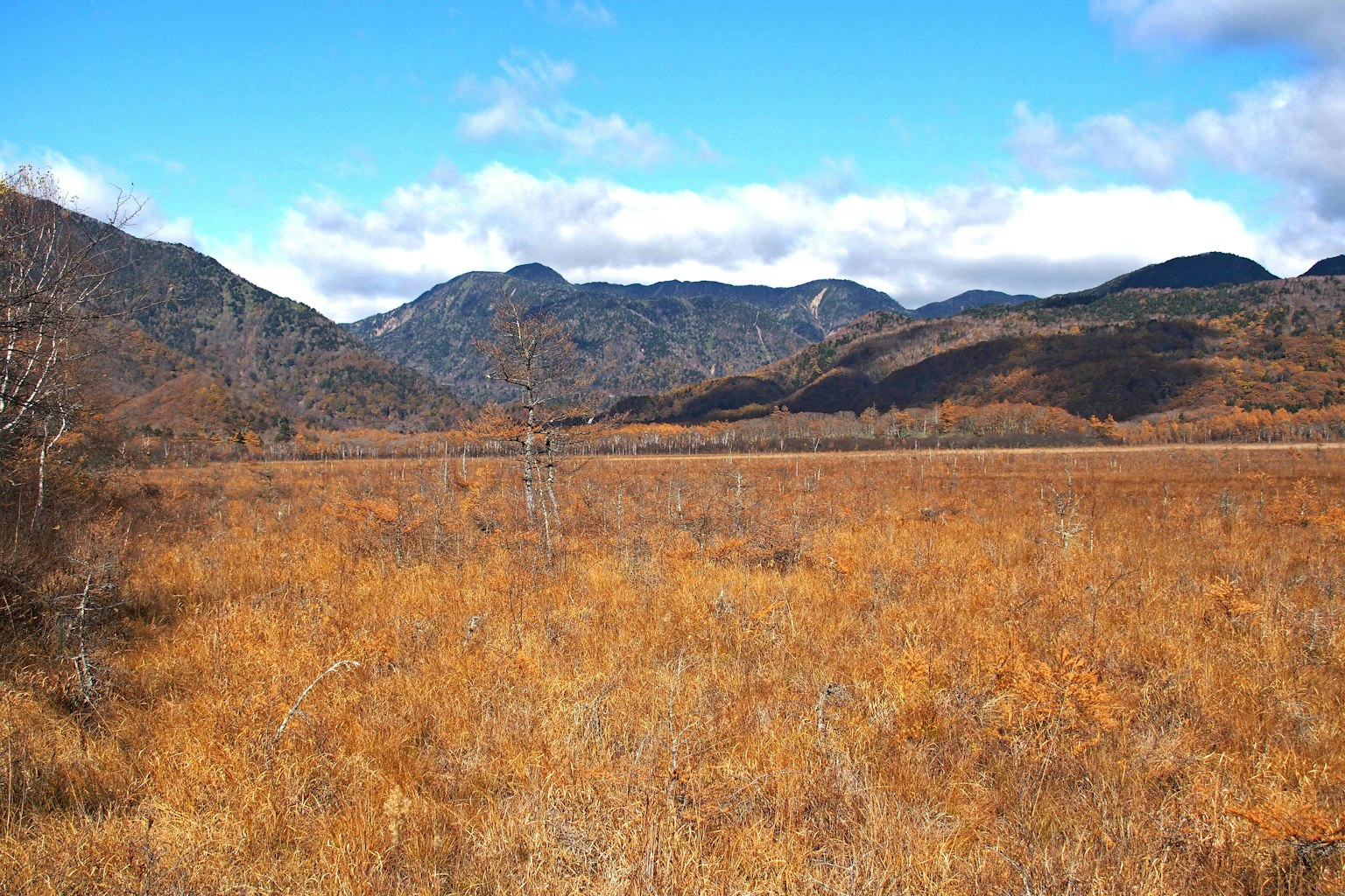 Autumn landscape with golden grass and distant mountains