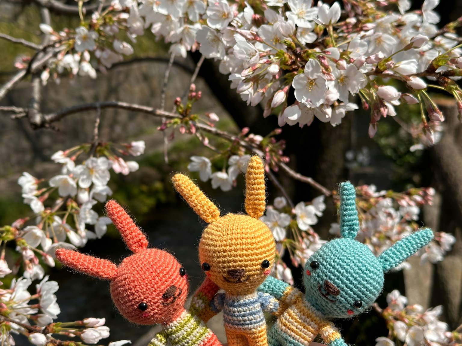Drei gehäkelte Hasen vor Kirschblüten