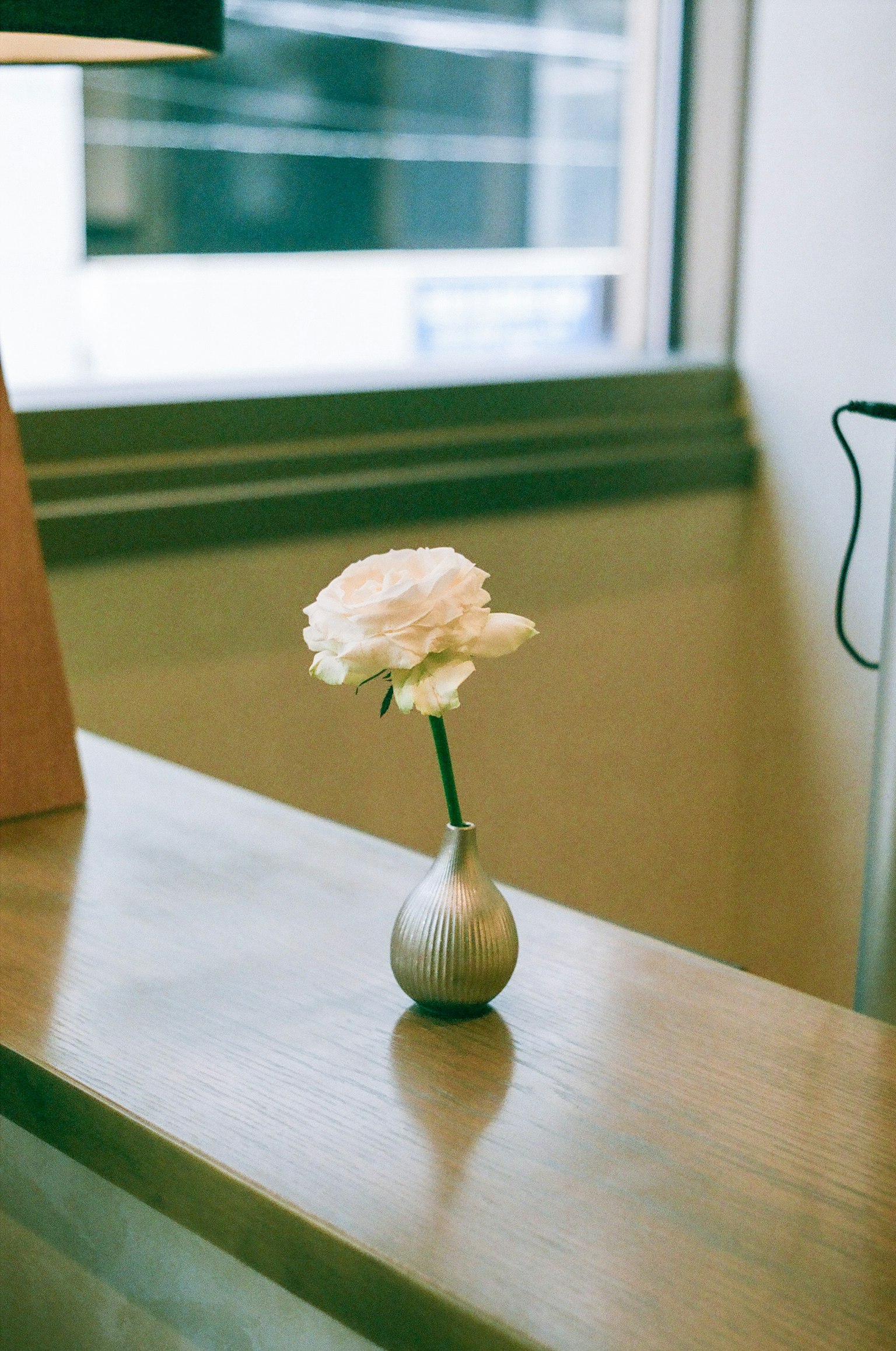 Un fiore bianco in un piccolo vaso di ceramica su una superficie di legno
