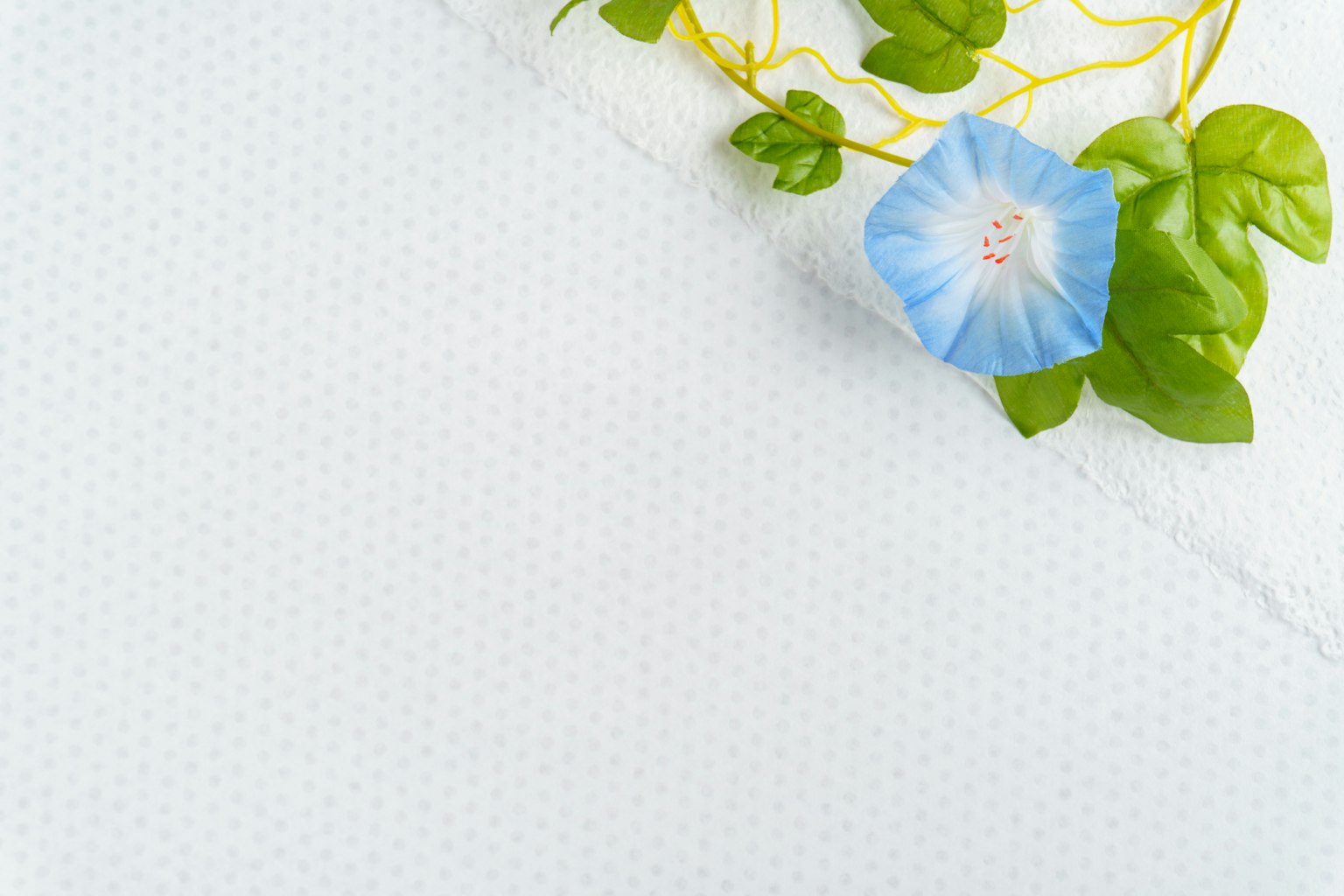 Immagine con un fiore blu e foglie verdi su uno sfondo bianco