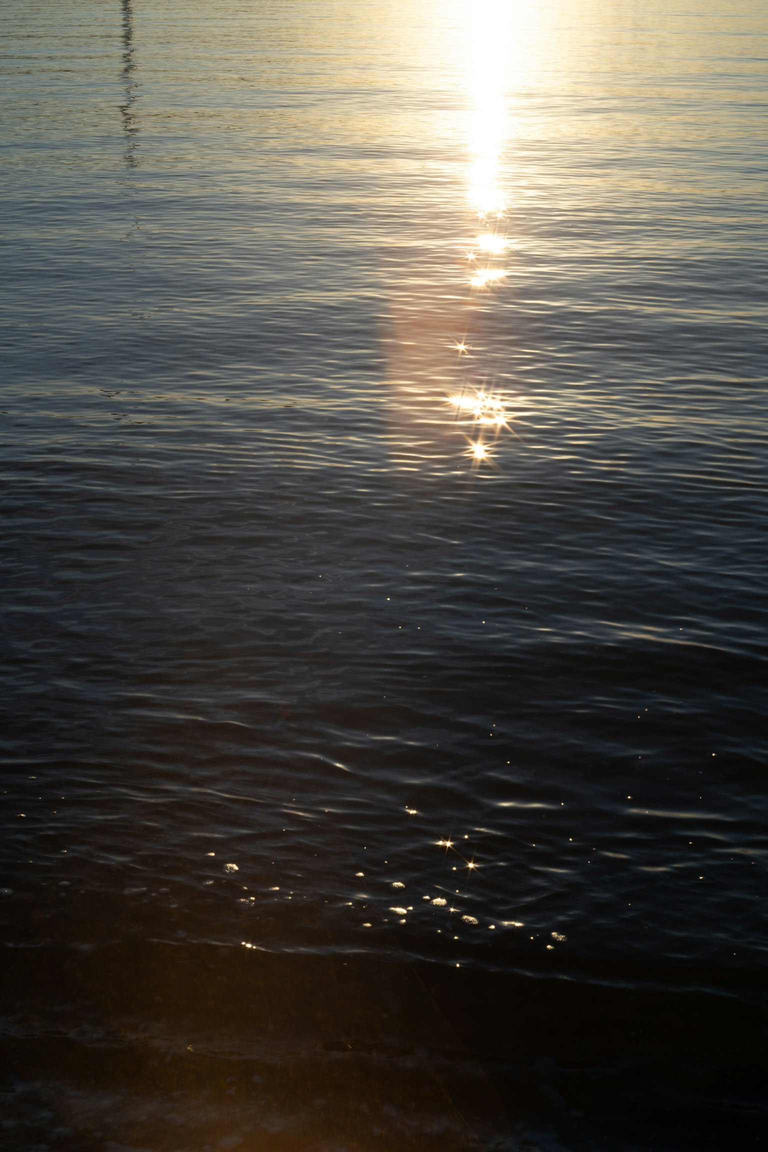 Superficie d'acqua calma che riflette la luce del sole e onde leggere