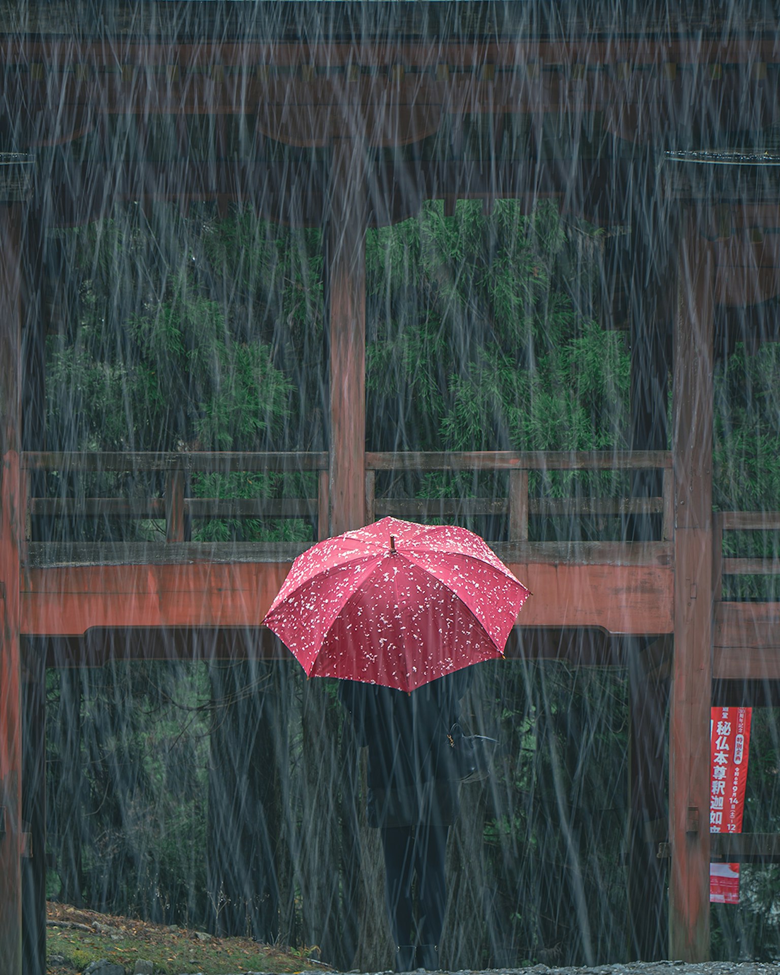一把红伞悬挂在雨中，背景有木结构
