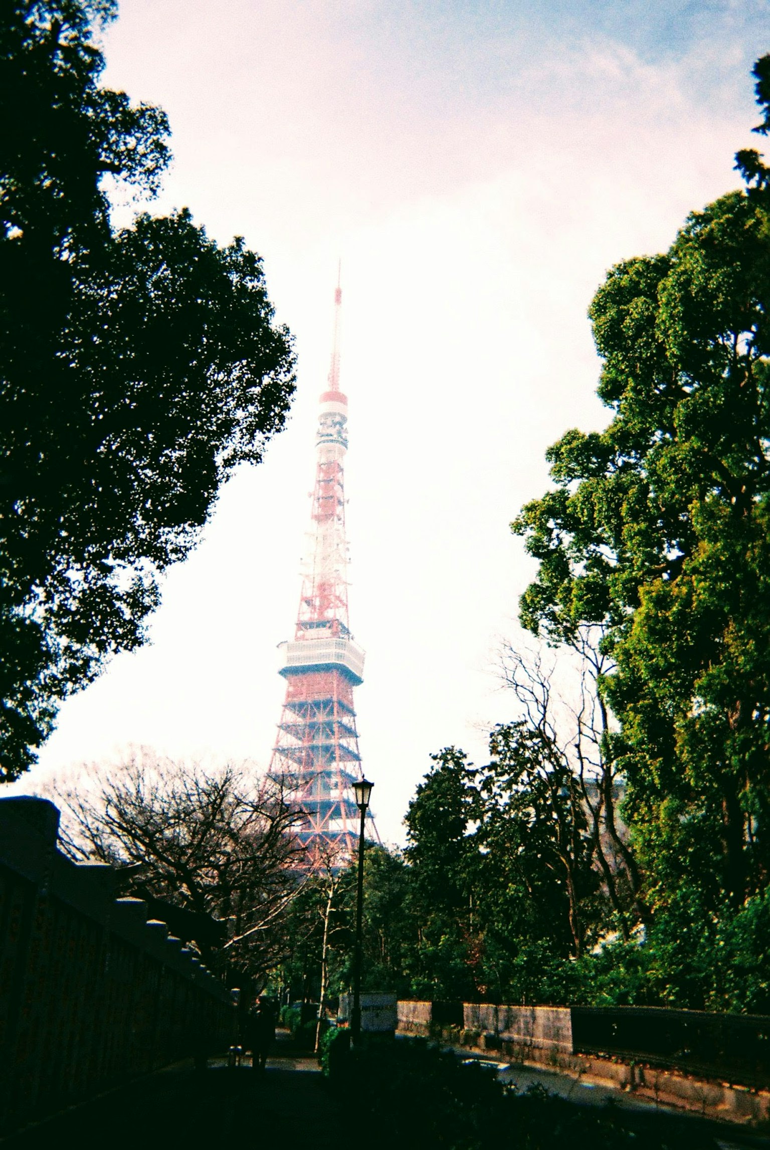 Tokyo Tower umgeben von grünen Bäumen