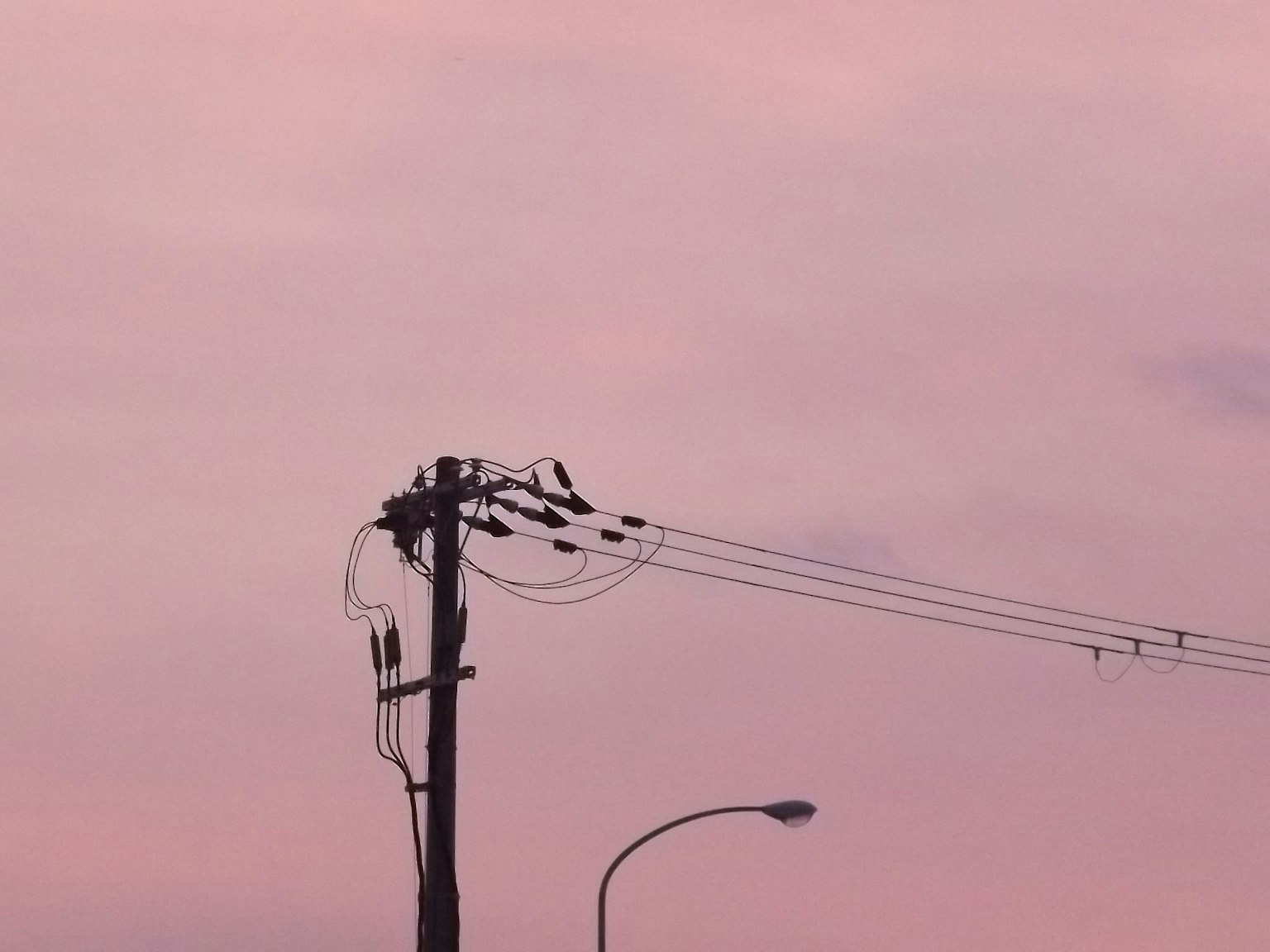 Silhouette d'un poteau électrique et de fils contre un ciel de coucher de soleil avec des oiseaux