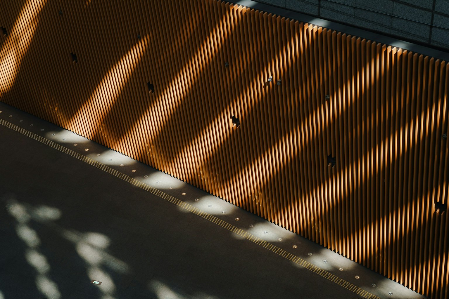 Patrones de luz y sombra en una pared de madera