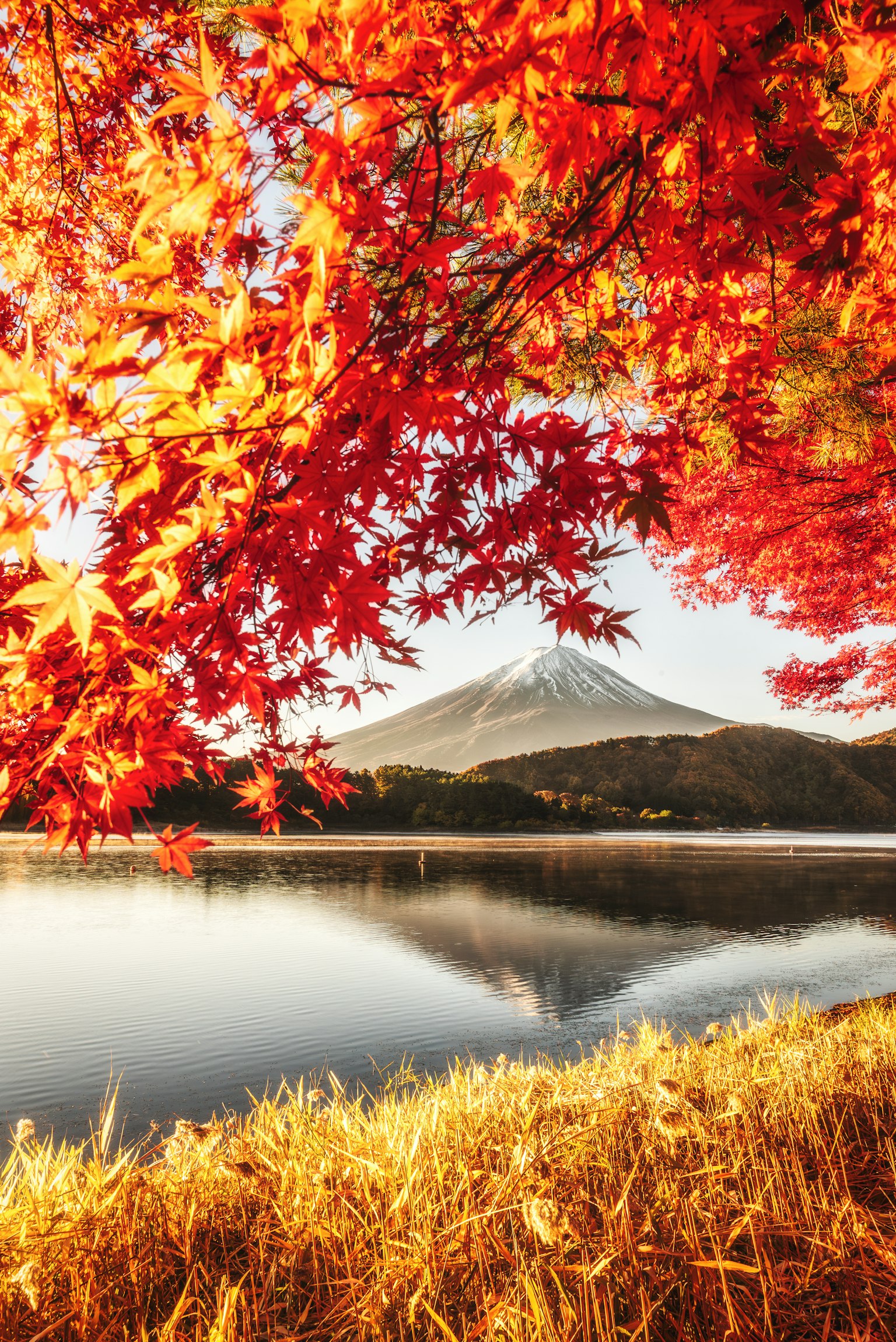 photo-Yfp7OVoKOF8LmErFvGS6-image