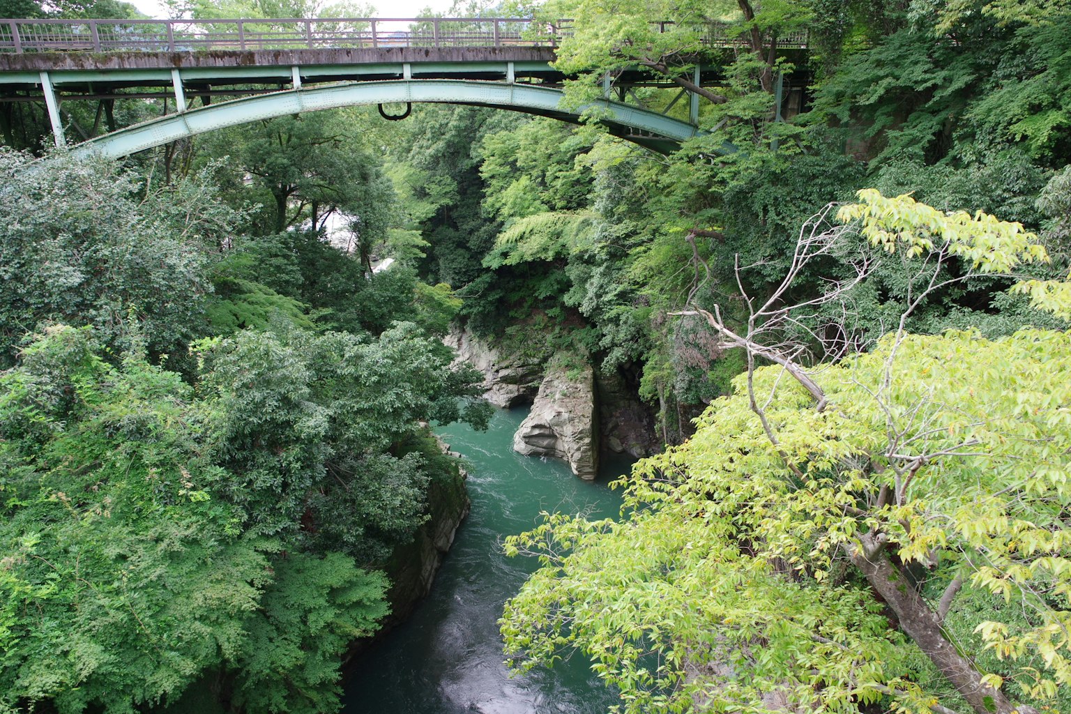 ทิวทัศน์ที่สวยงามของแม่น้ำที่ล้อมรอบด้วยธรรมชาติอันเขียวชอุ่มมีสะพานอยู่เหนือ