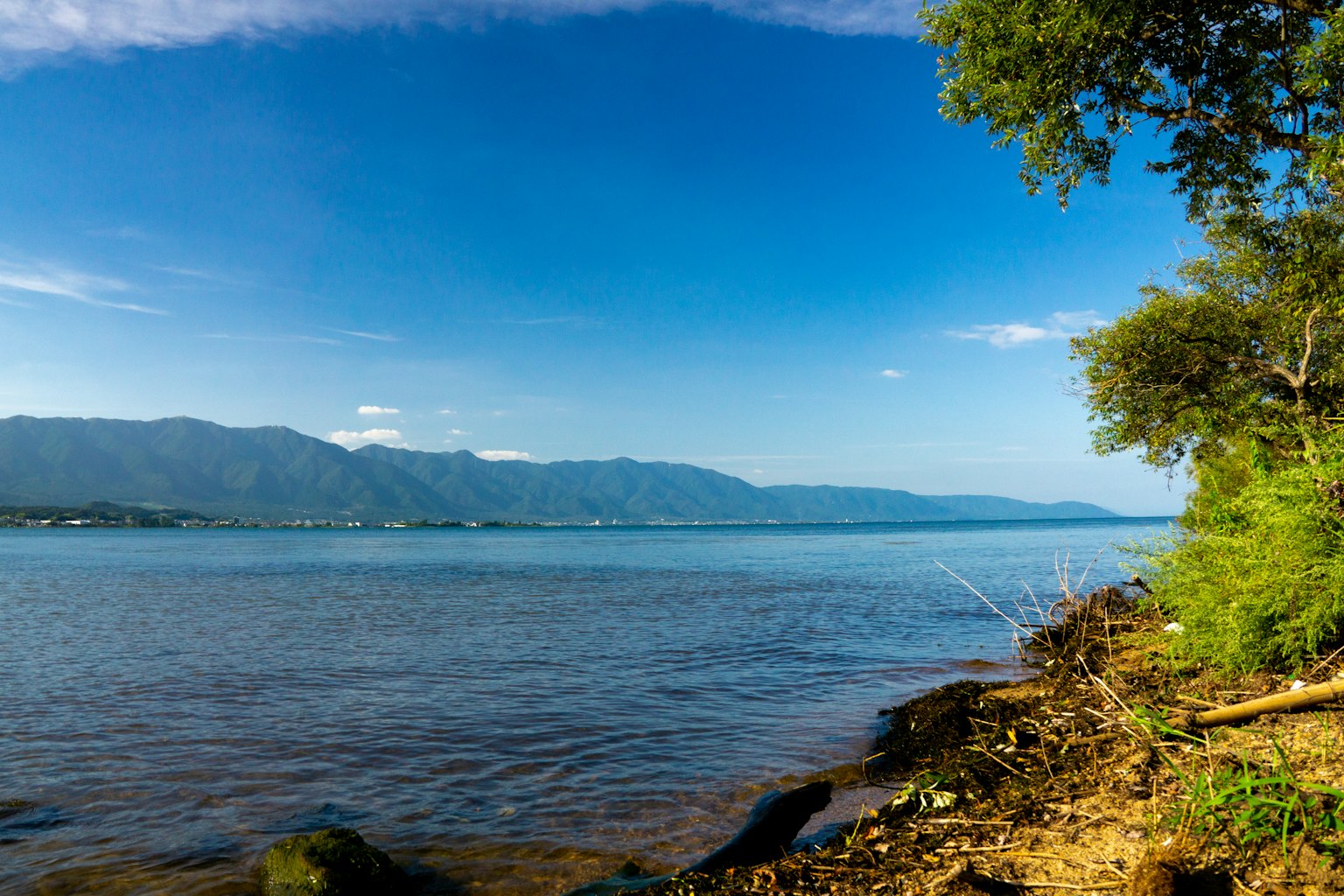 Vista panoramica di un lago con cielo blu montagne e alberi verdi