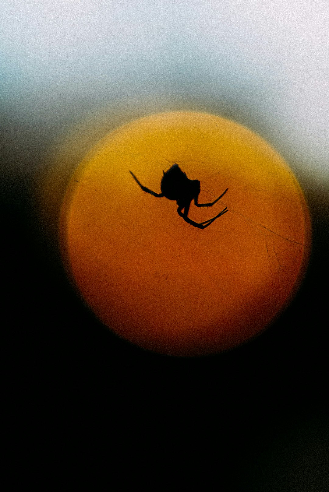 photo-YgjvVi8exT08hhqQ9OAf-image