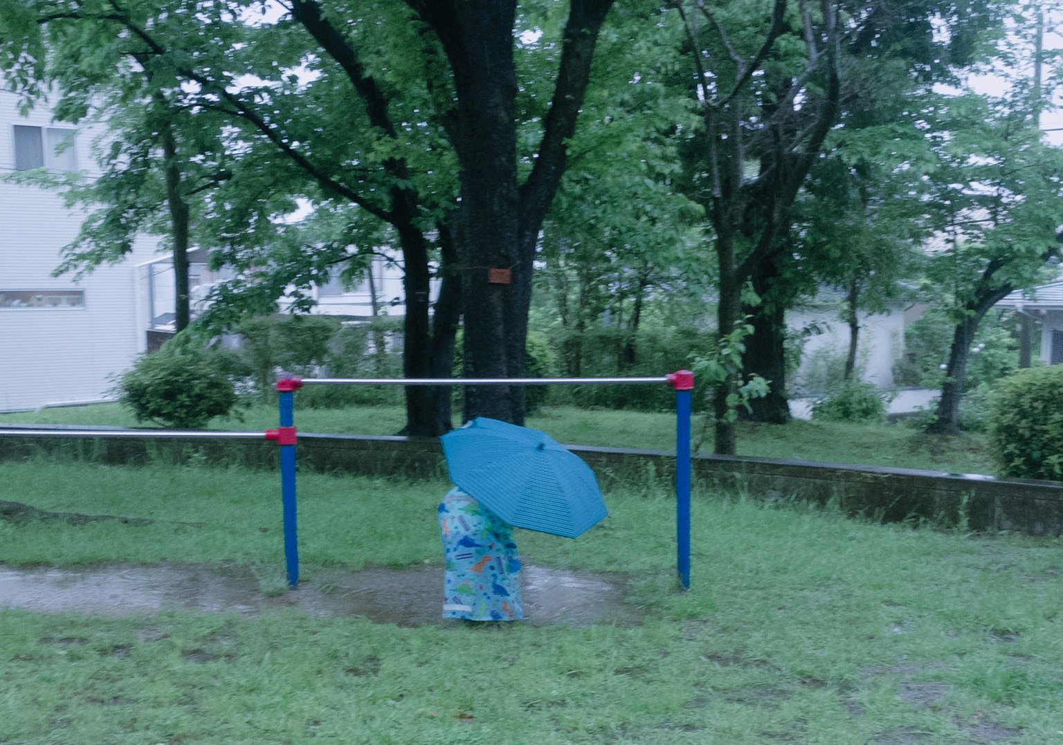 photo-YhAKVm4qs7ZzEY2Q3oNI-image