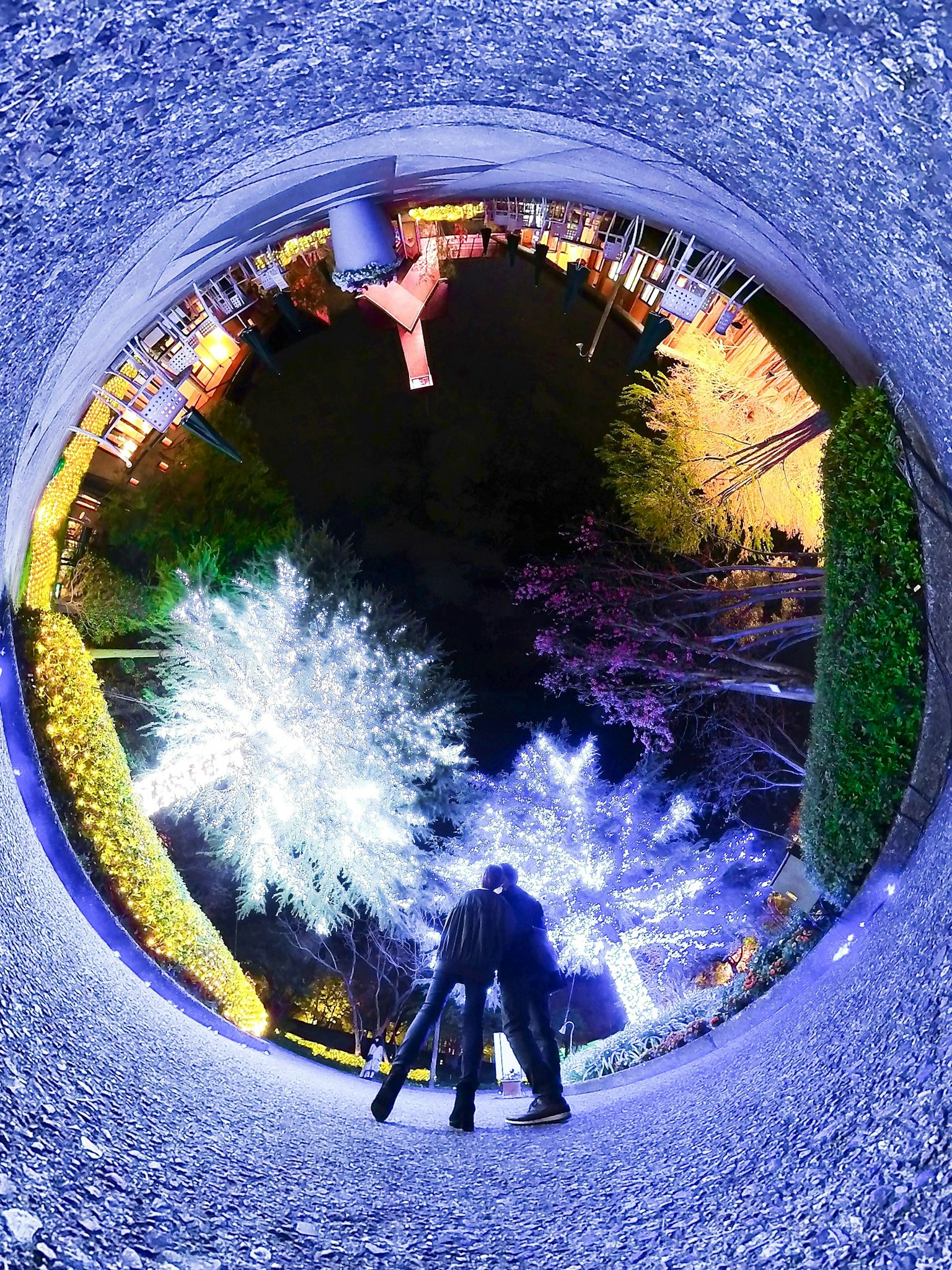 Una persona con una cámara en un parque iluminado colorido con árboles vibrantes
