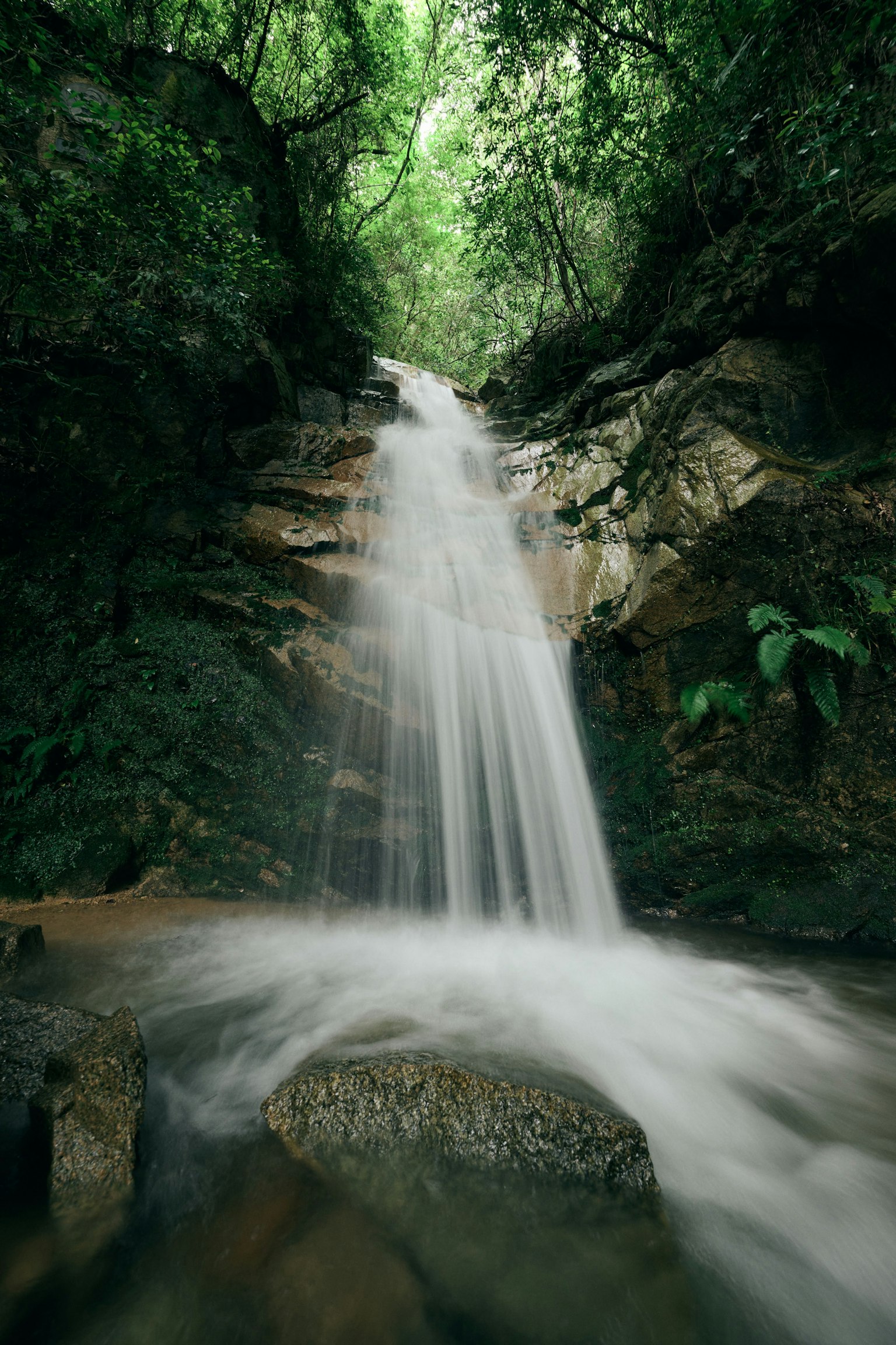 Une cascade tombant sur des rochers dans une forêt verdoyante