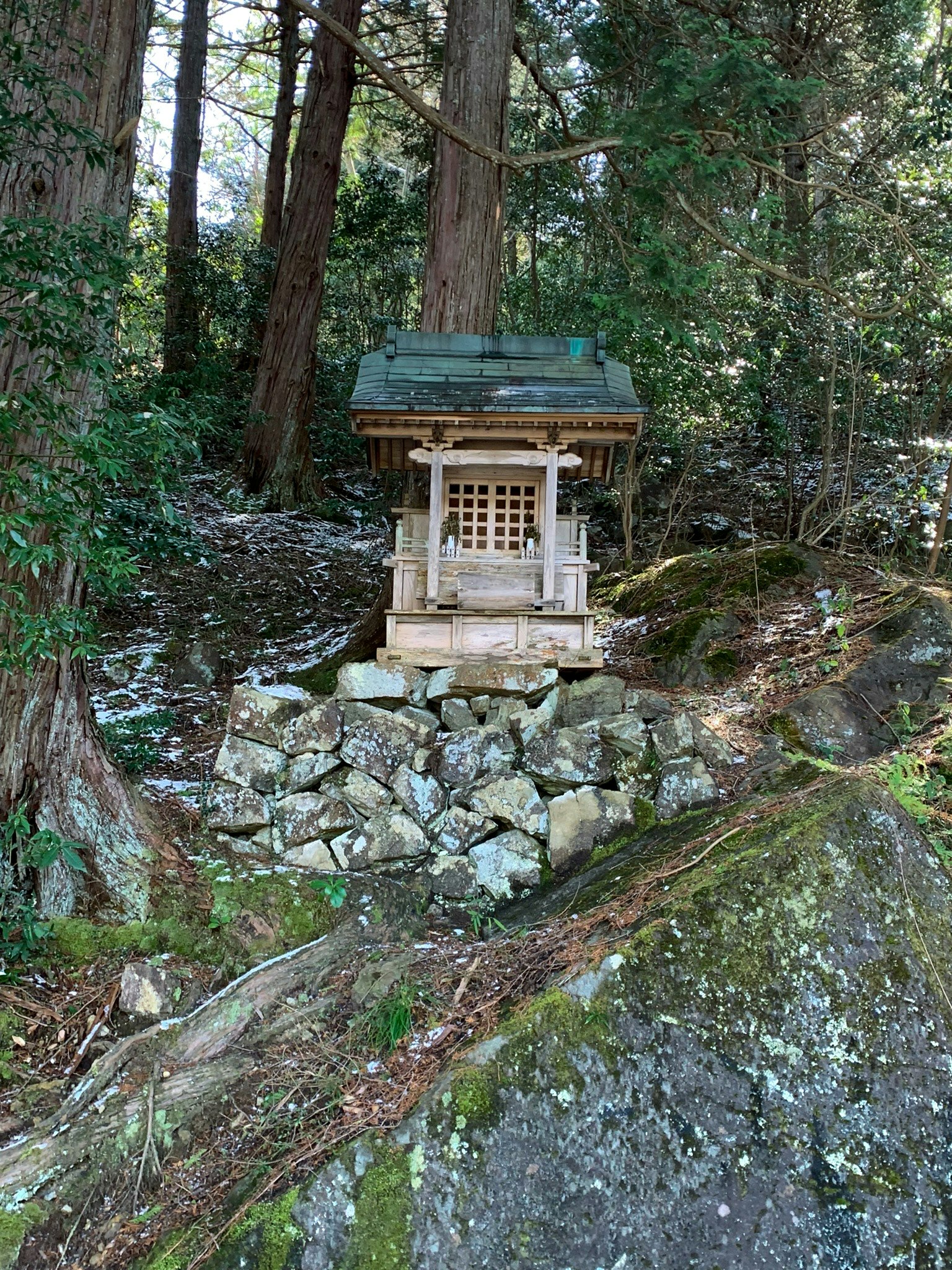 森林山坡上长满青苔的石阶与小型神龛