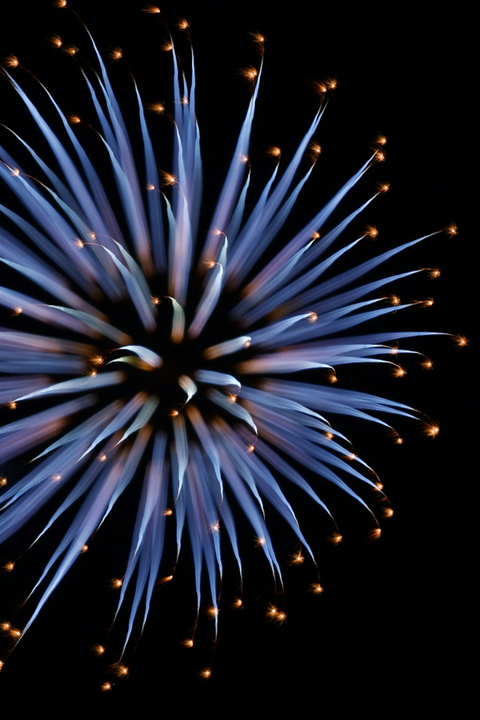 Blue fireworks bursting in the night sky
