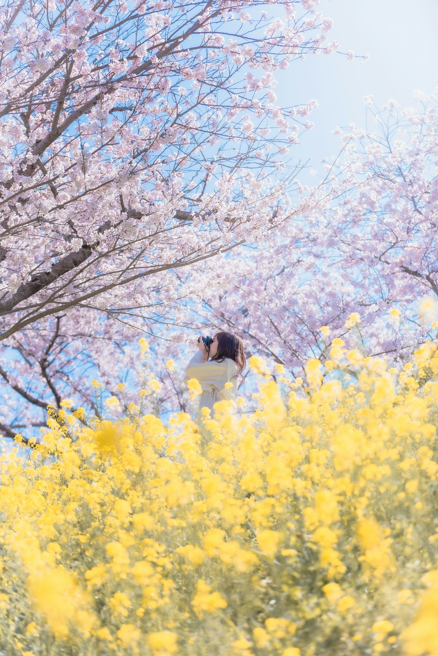 photo-YjOShKall5tEohHh2kYj-image