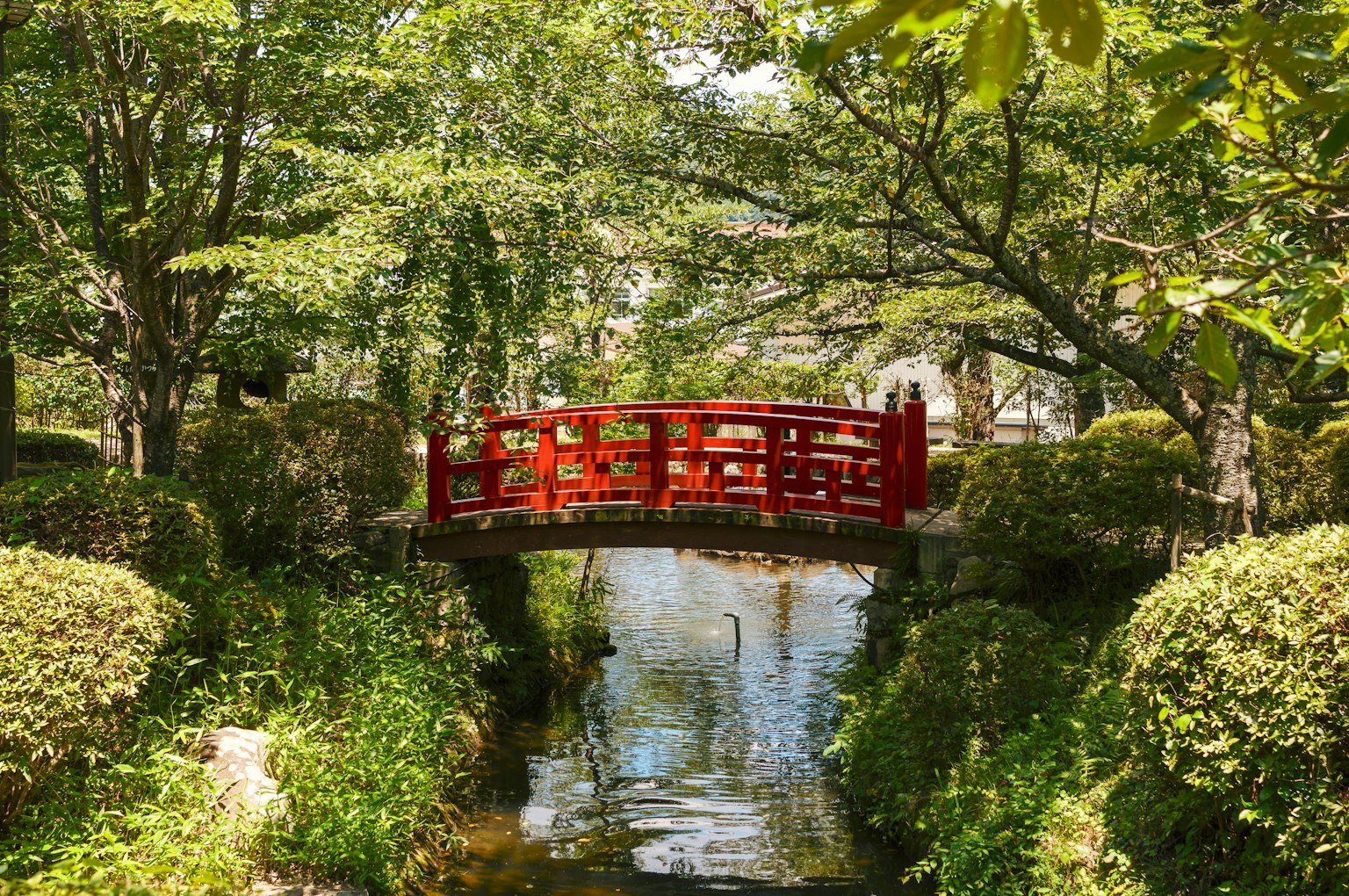 Una escena serena con un puente rojo rodeado de vegetación exuberante