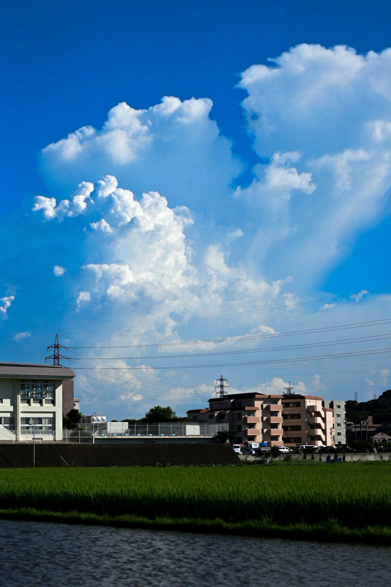 蓝天和白云的风景中有稻田和建筑