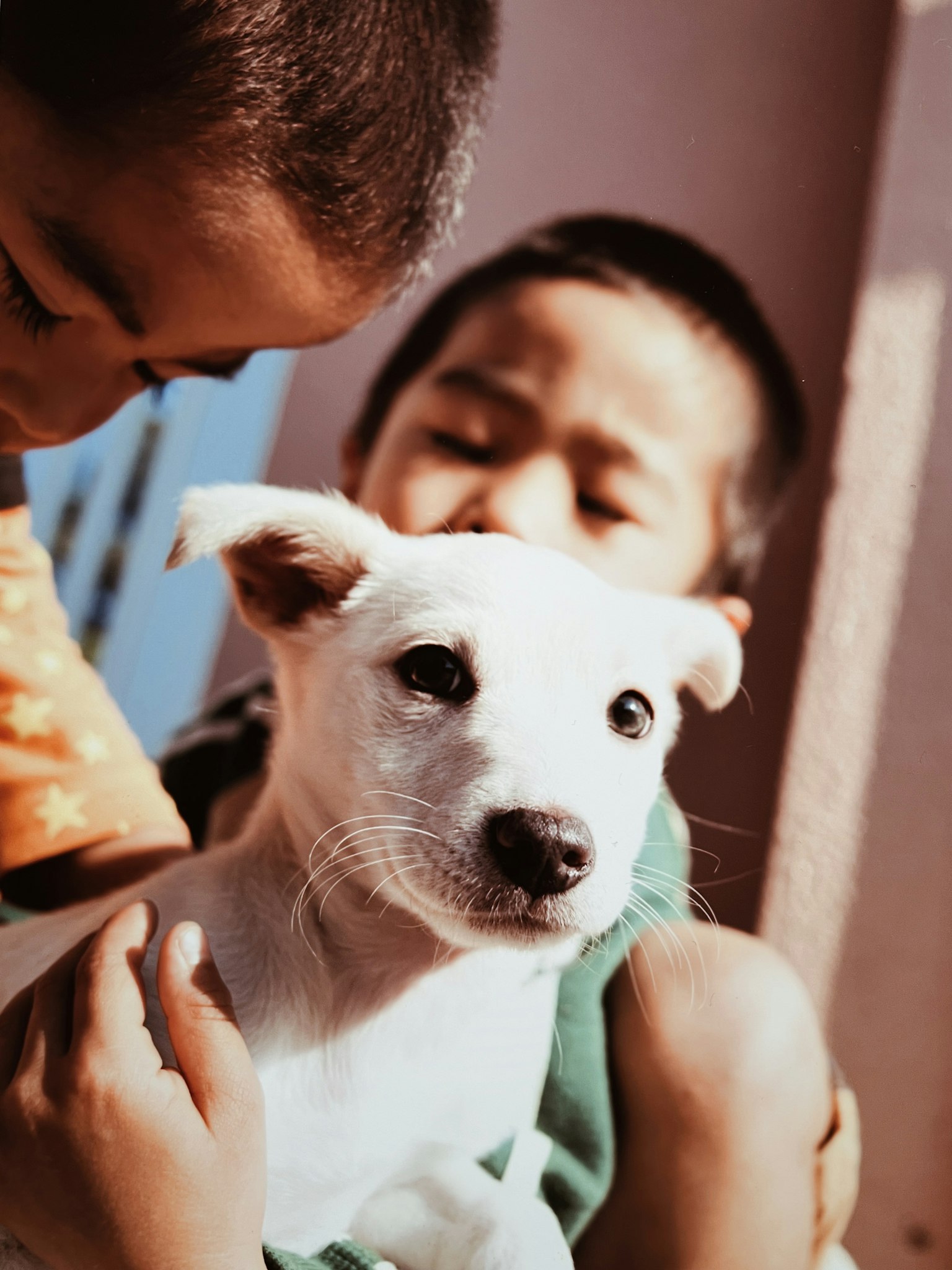 Anak-anak memegang anak anjing putih dengan ekspresi lembut