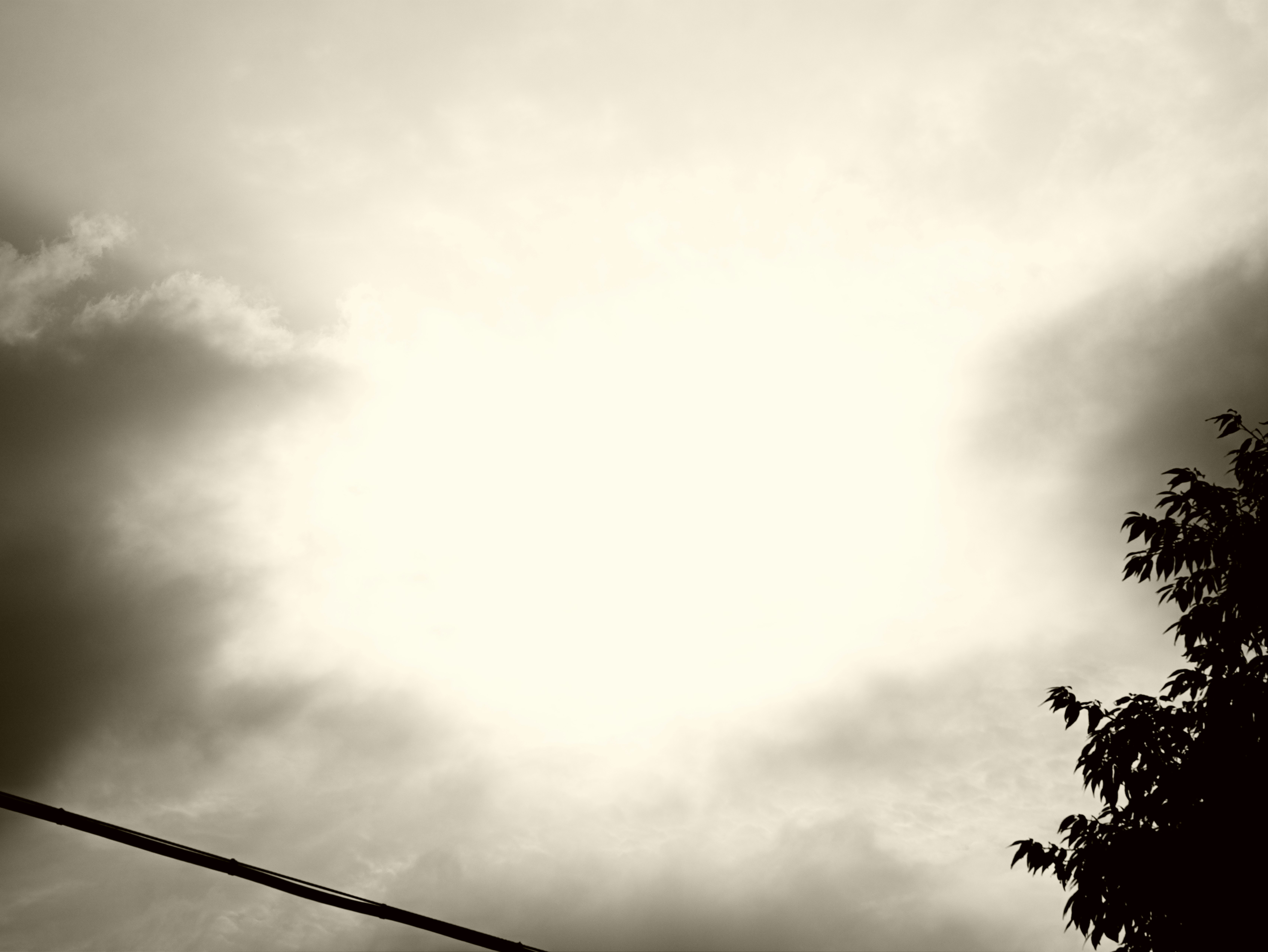 空に広がる雲と木々のシルエット