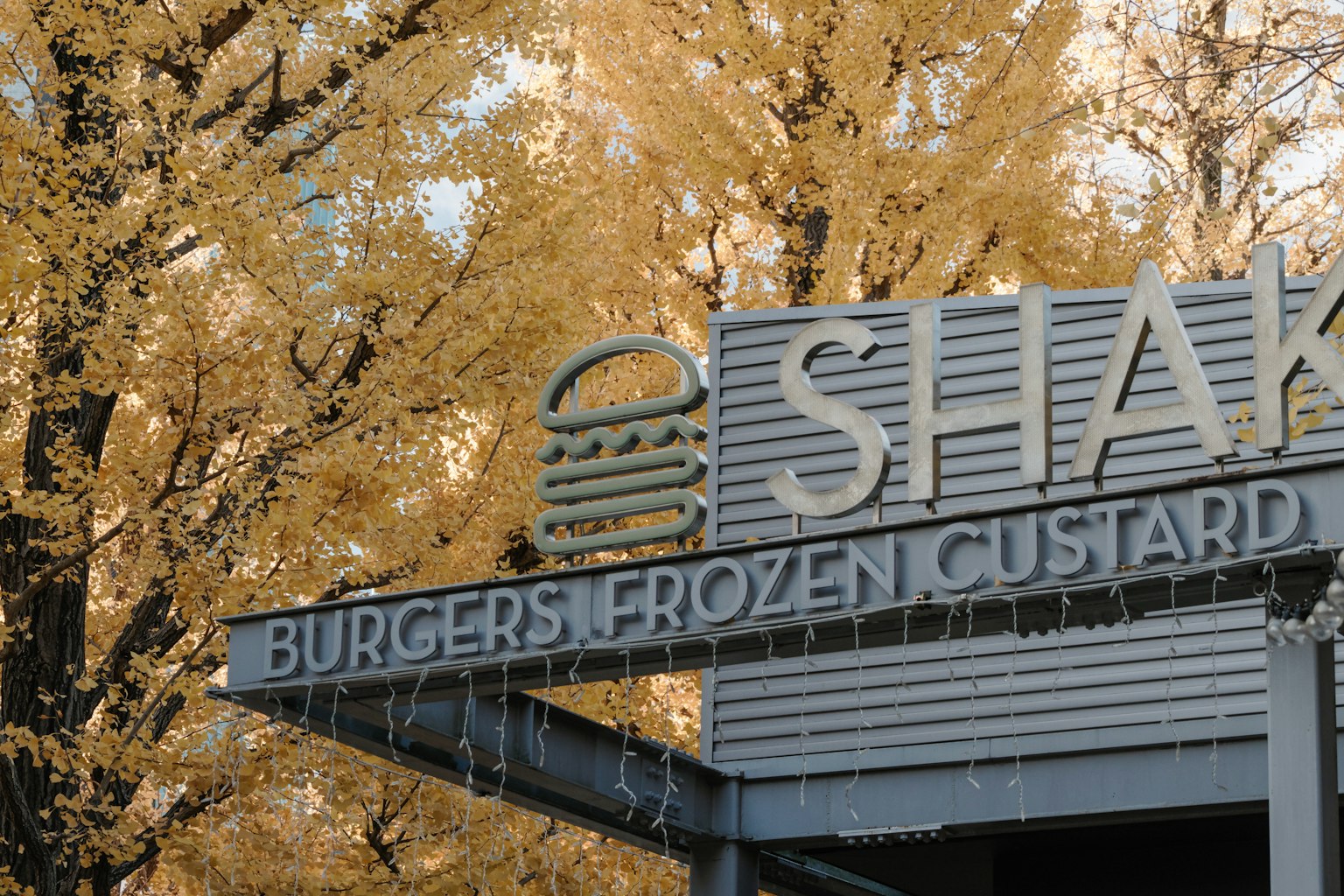 ์์ดํฌ ์คํฌ ๊ฐํ๊ณผ ๊ฐ์ ๋๋ฌด๋ค