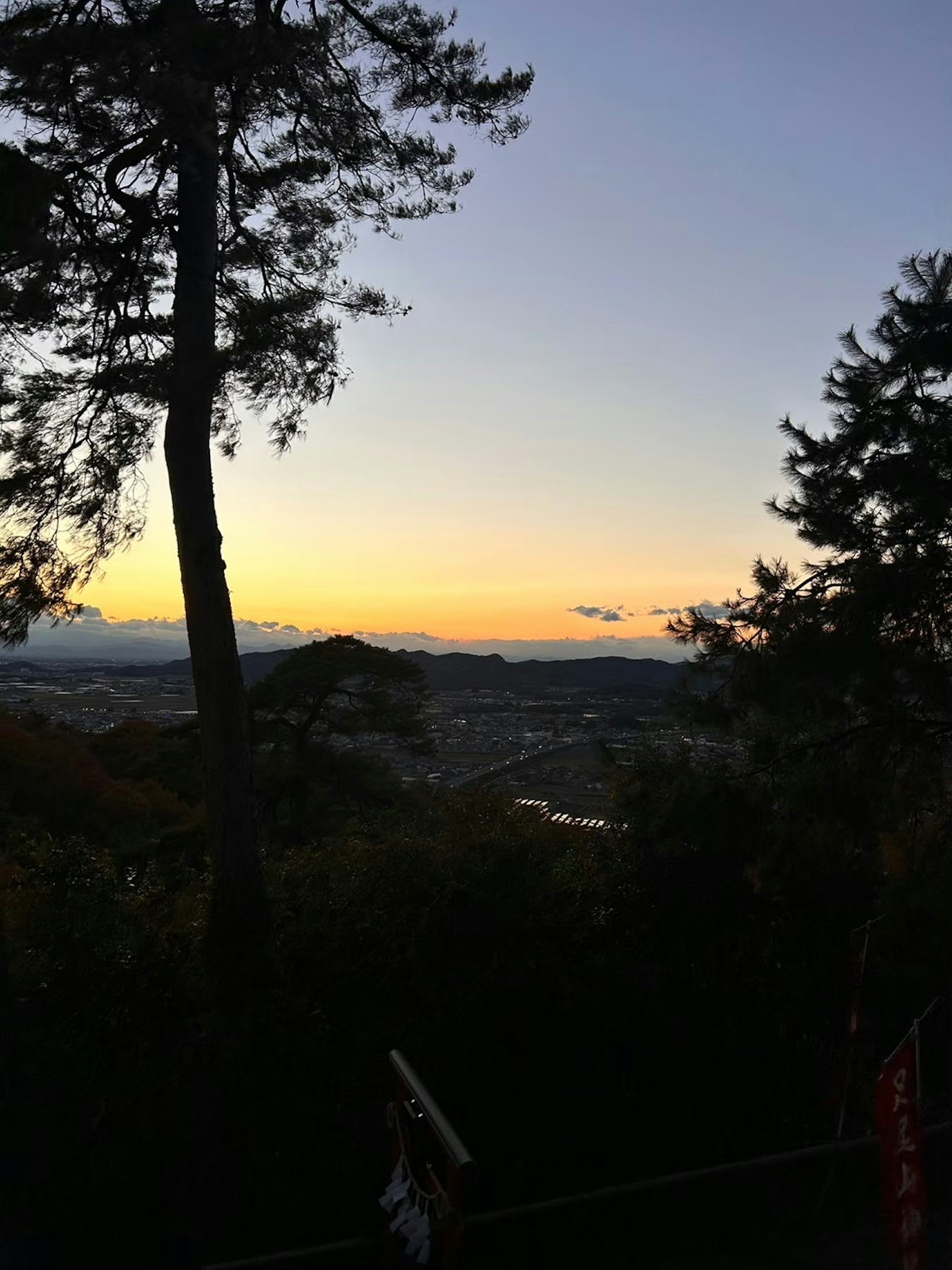 Hermoso paisaje de atardecer con árboles en silueta