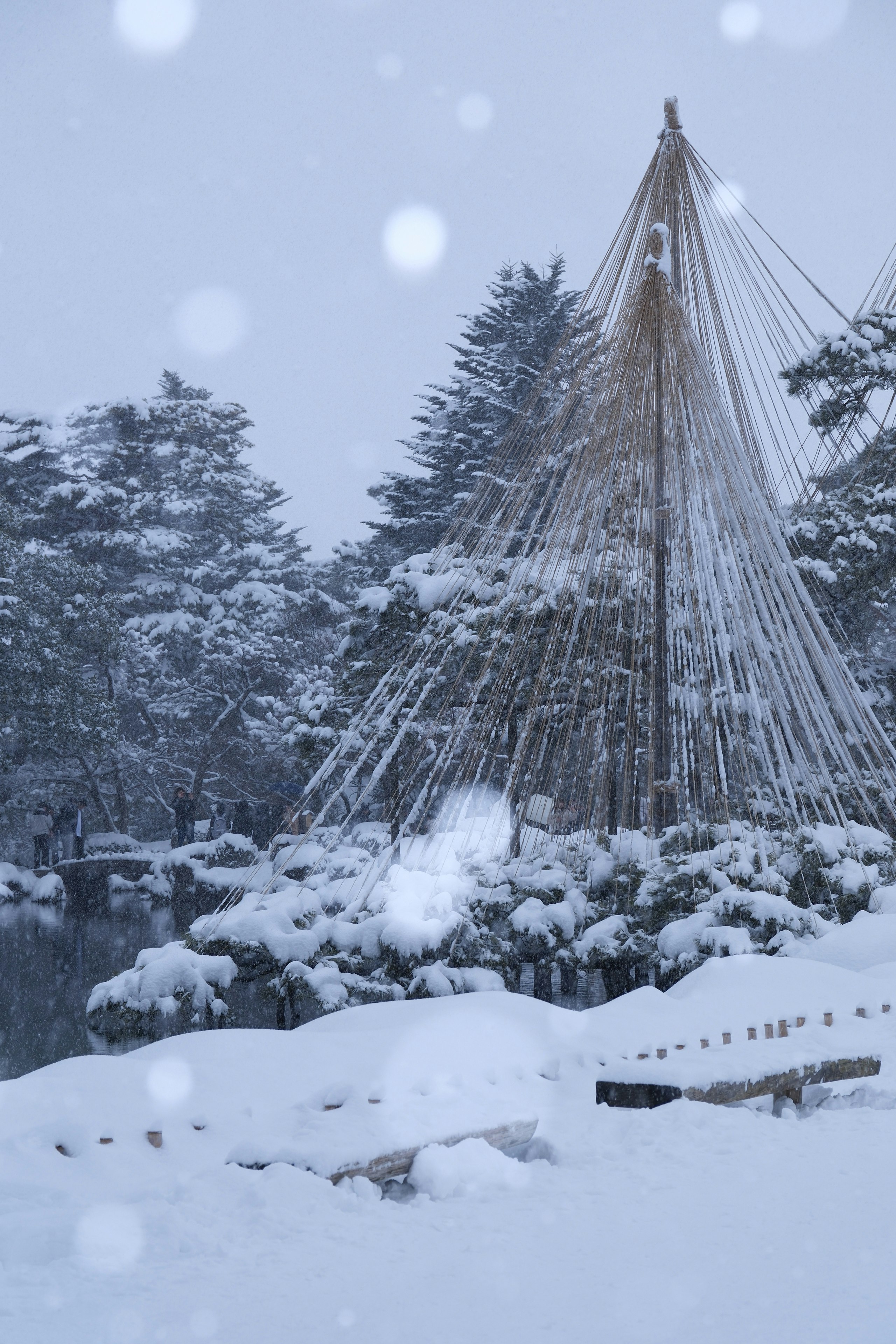 雪吊のある金沢城公園の雪景色