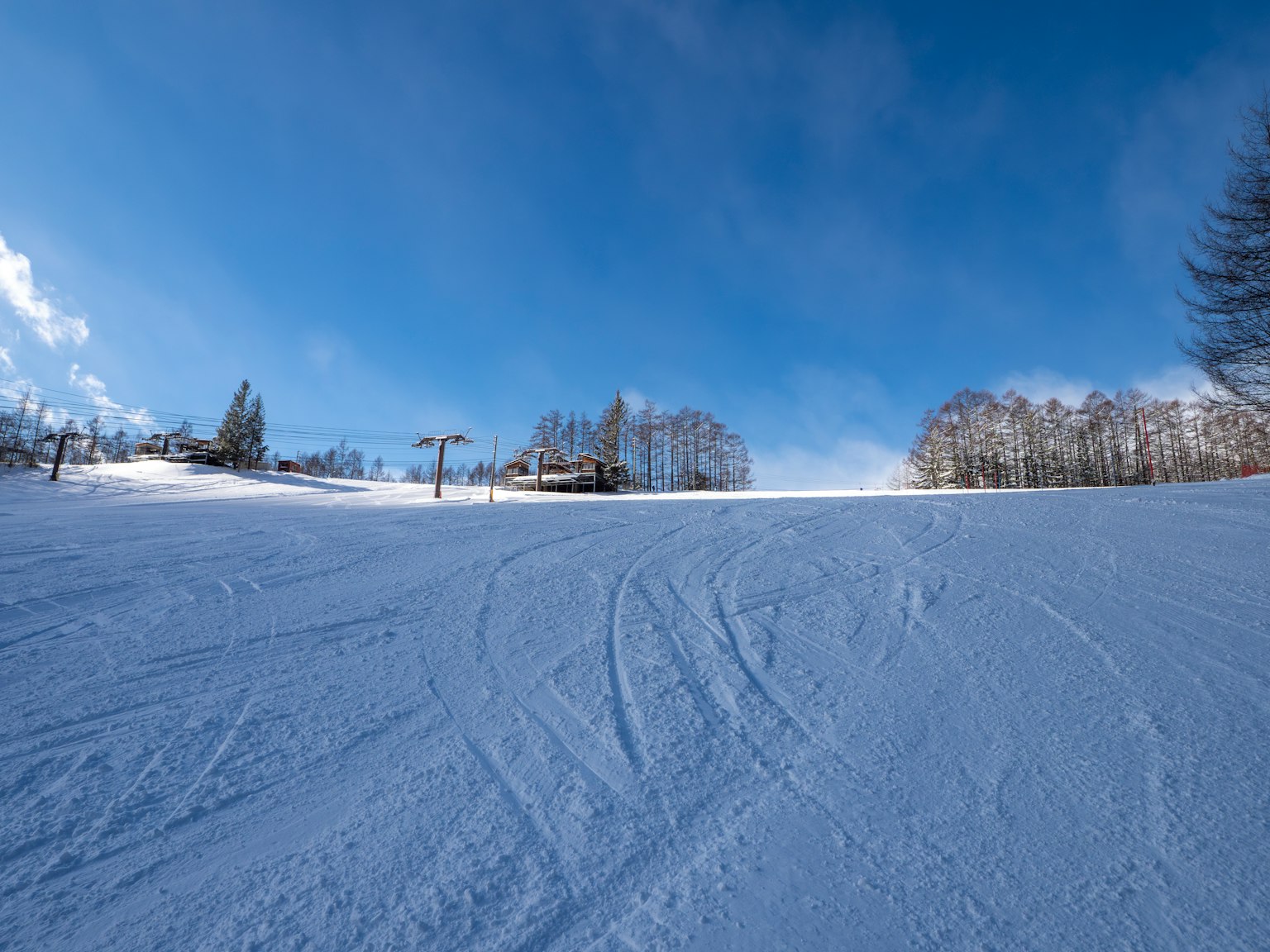 覆雪的滑雪坡道，藍天和樹木在背景中