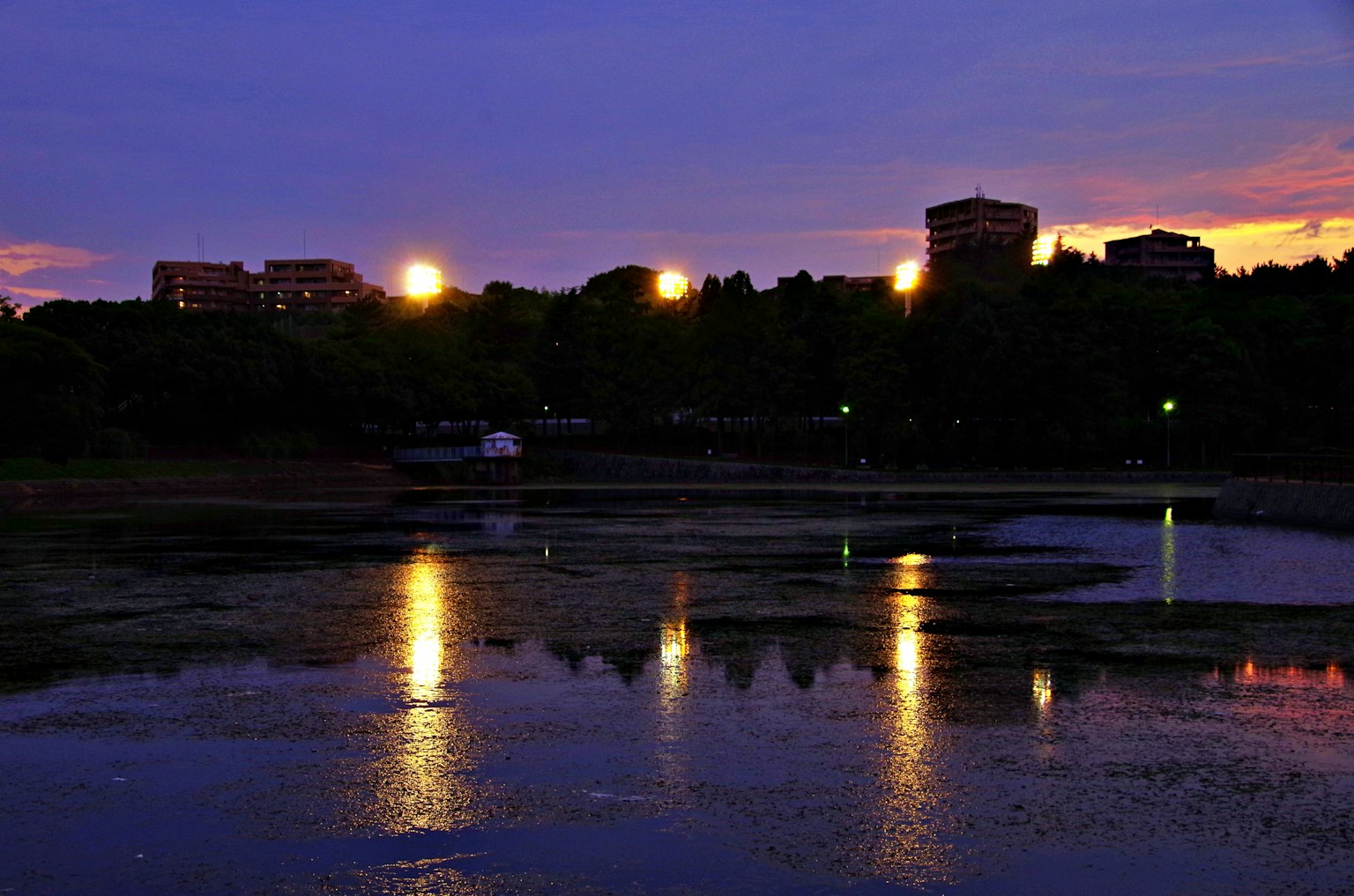 Scena serena al crepuscolo con un lago che riflette le luci della città