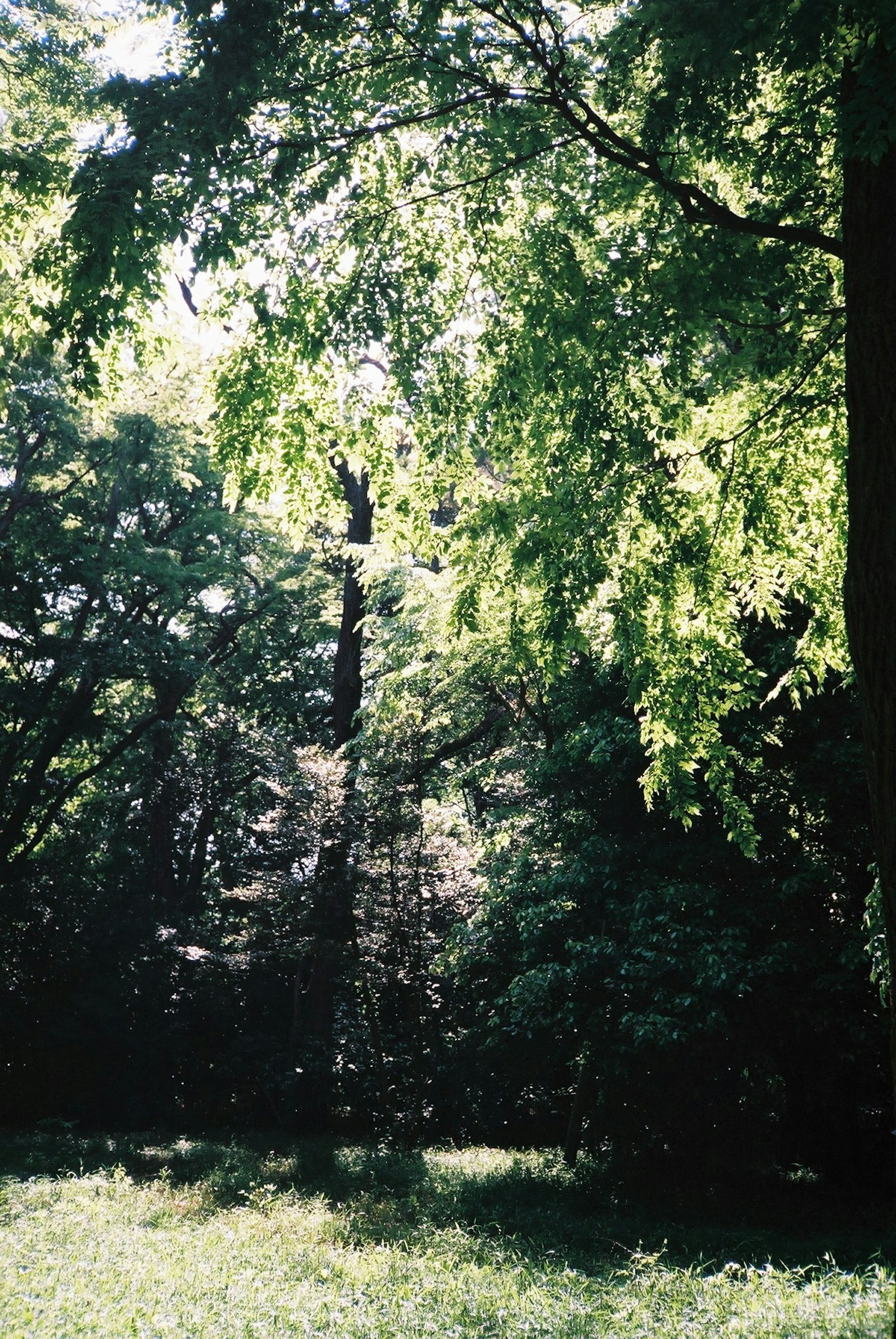 photo-YlQPnv4DKO3LIUOLXrVJ-image