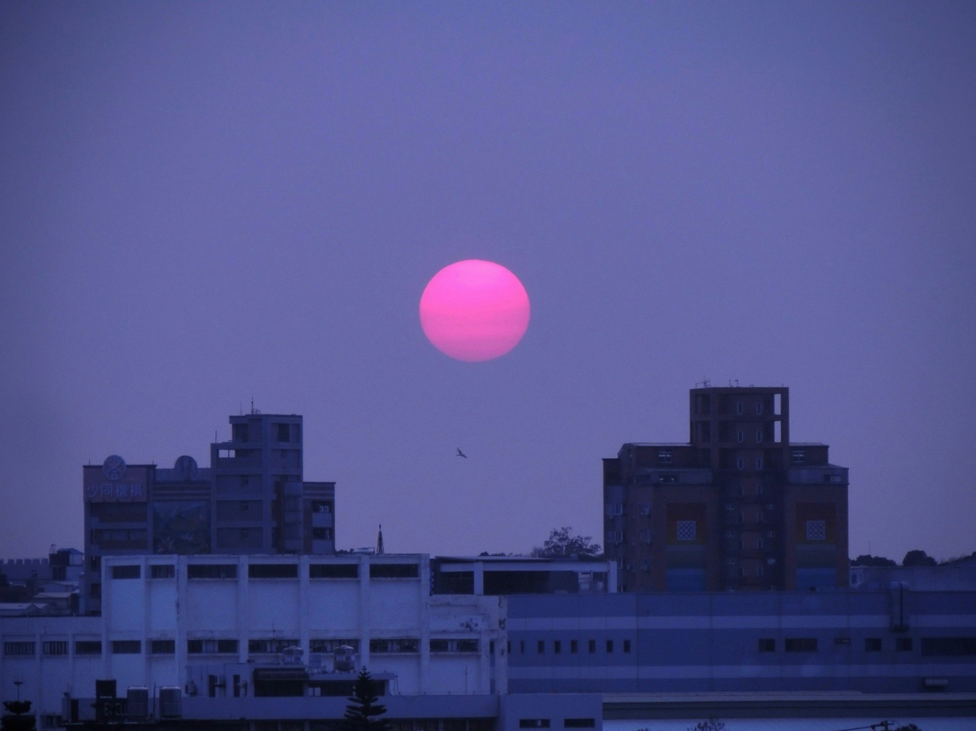 großer Mond über einer Stadtsilhouette in der Dämmerung