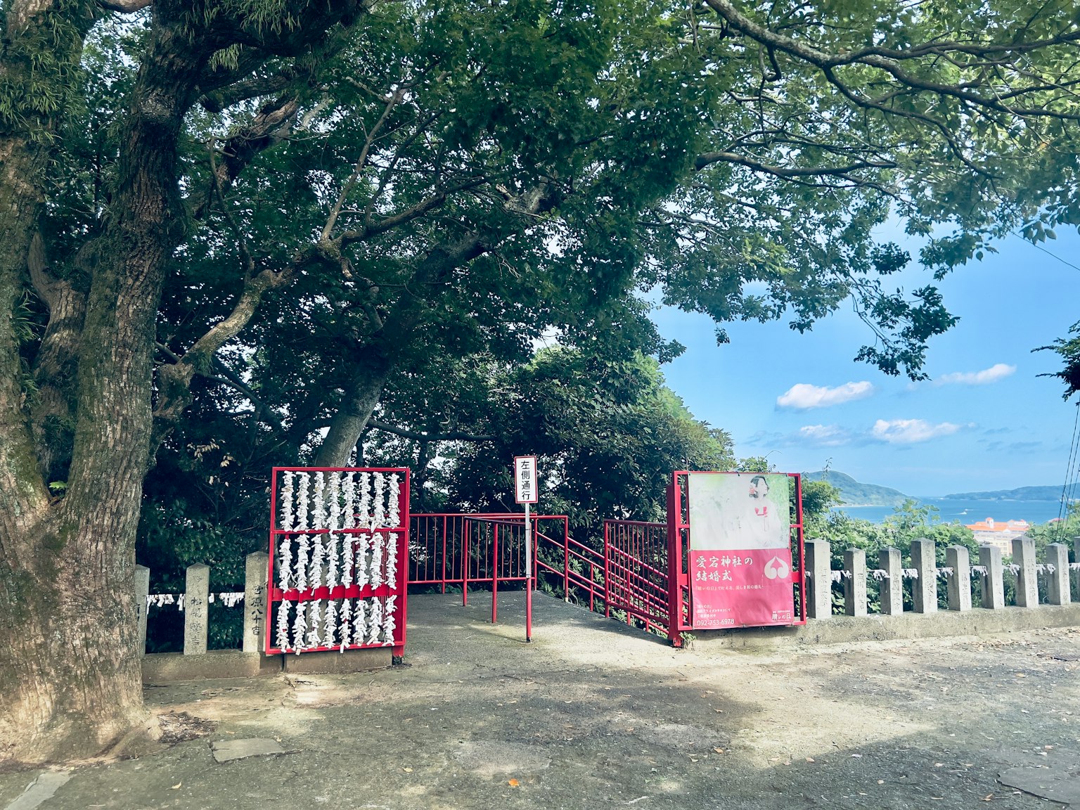 Puerta roja rodeada de árboles y vista escénica